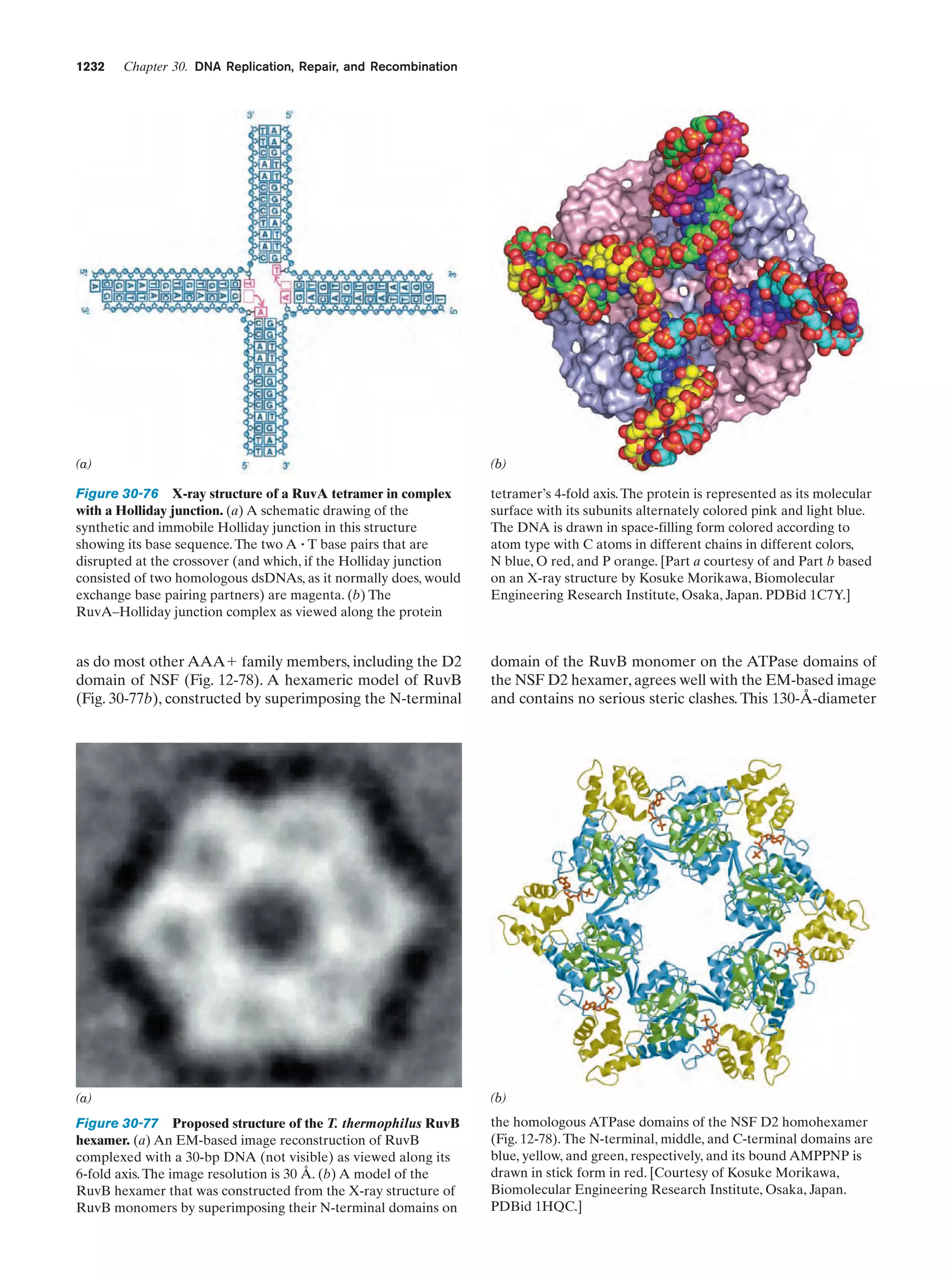 Biochemistry.4th.edition