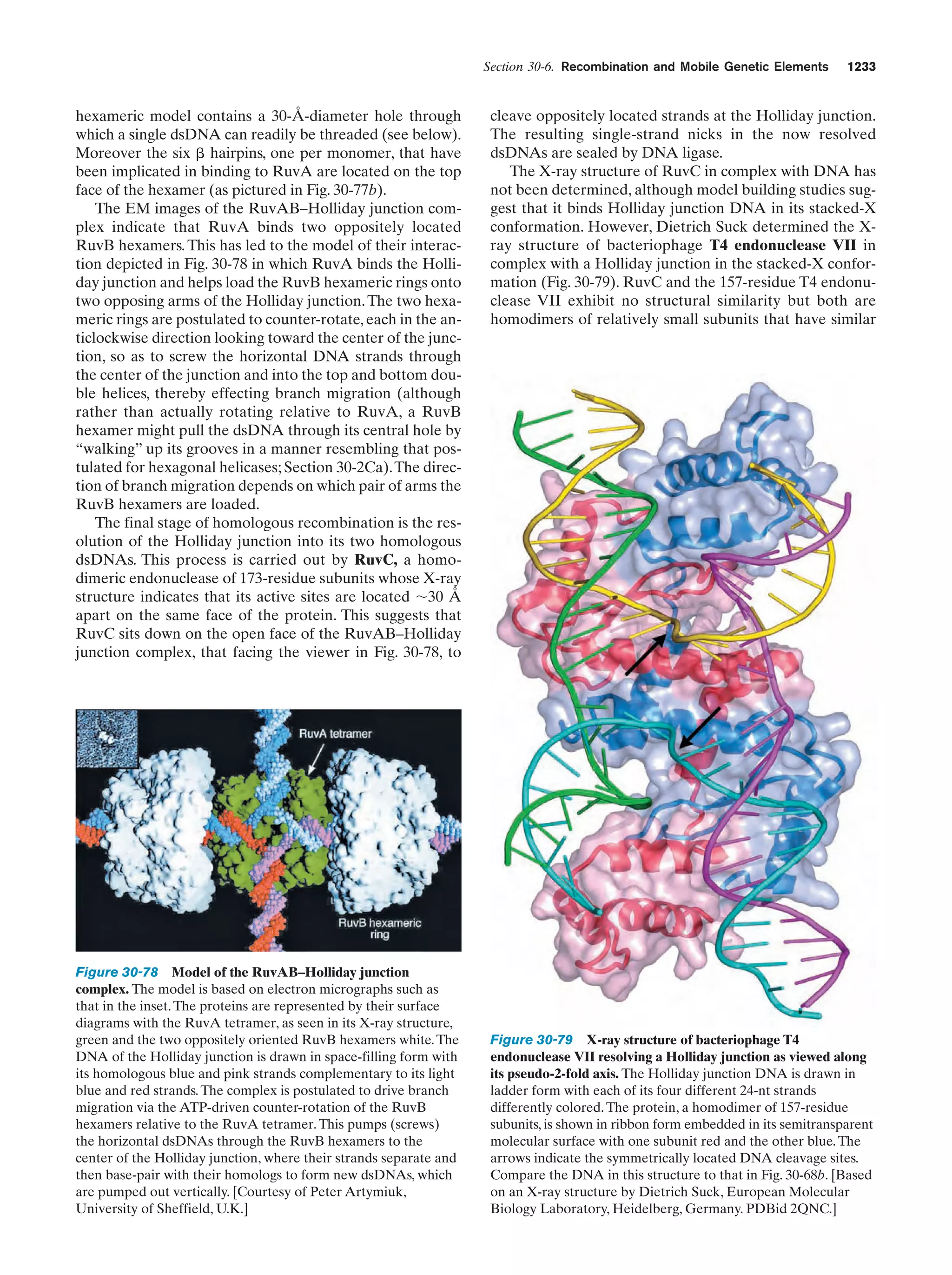 Biochemistry.4th.edition