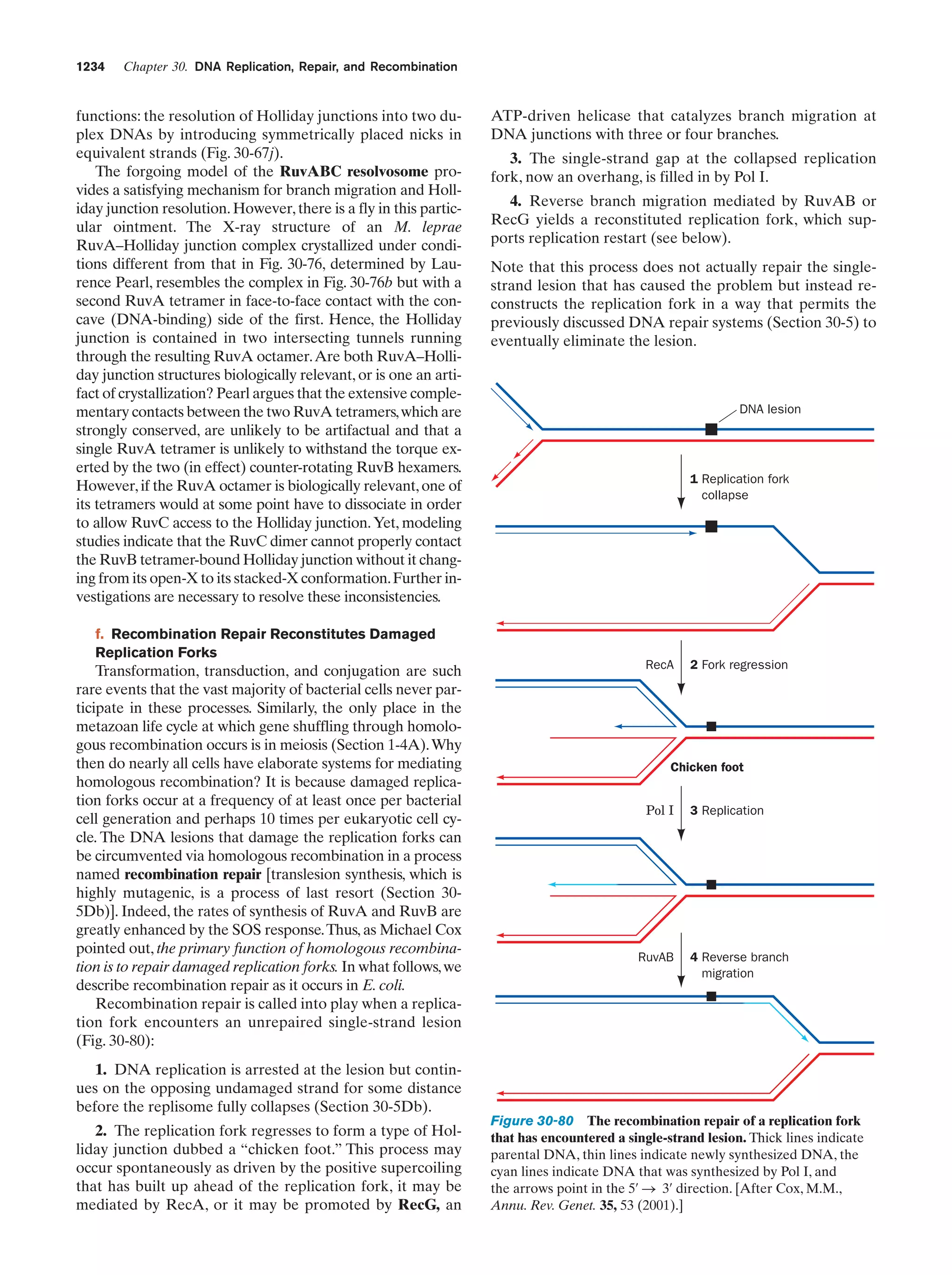 Biochemistry.4th.edition