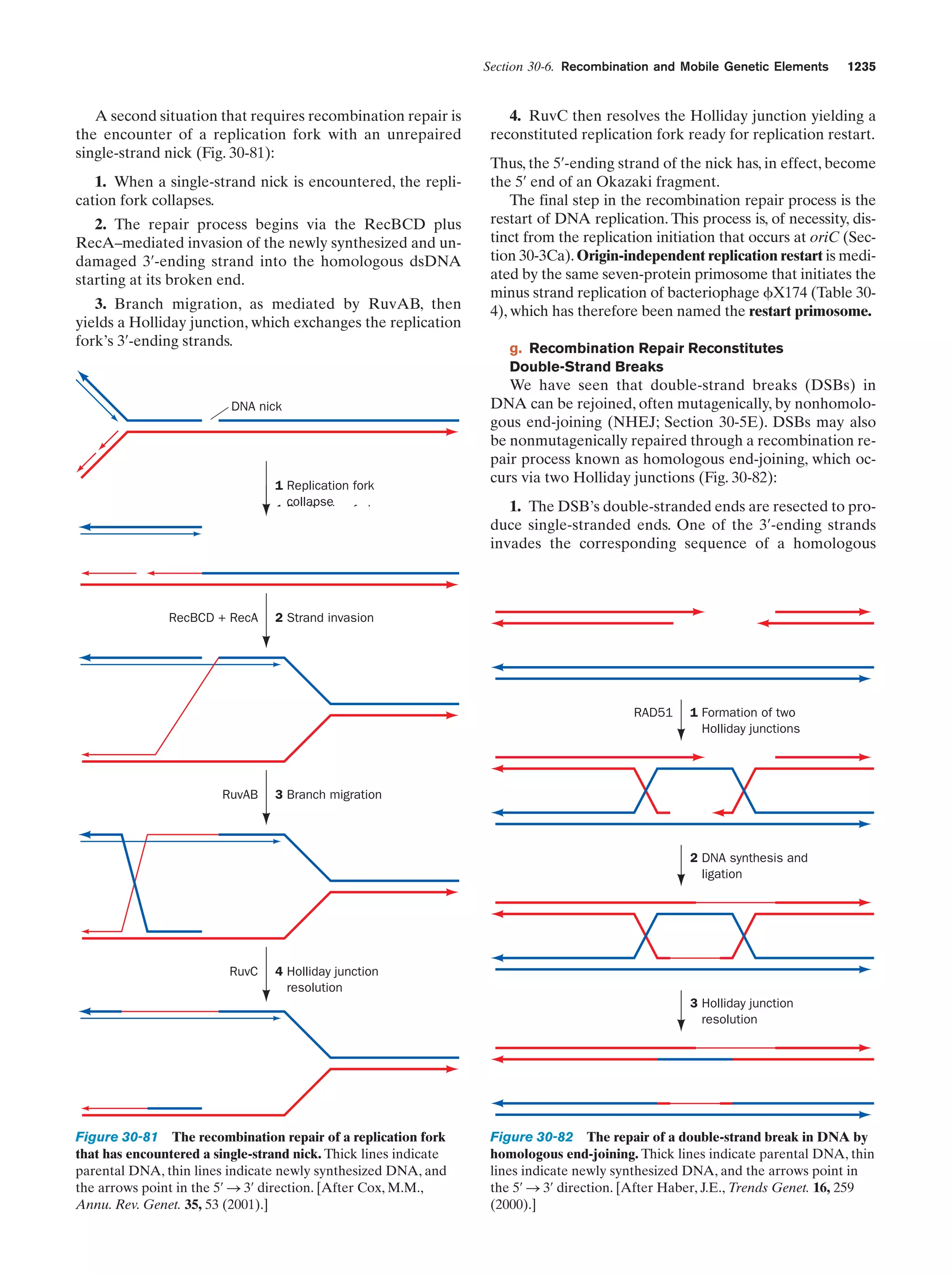 Biochemistry.4th.edition
