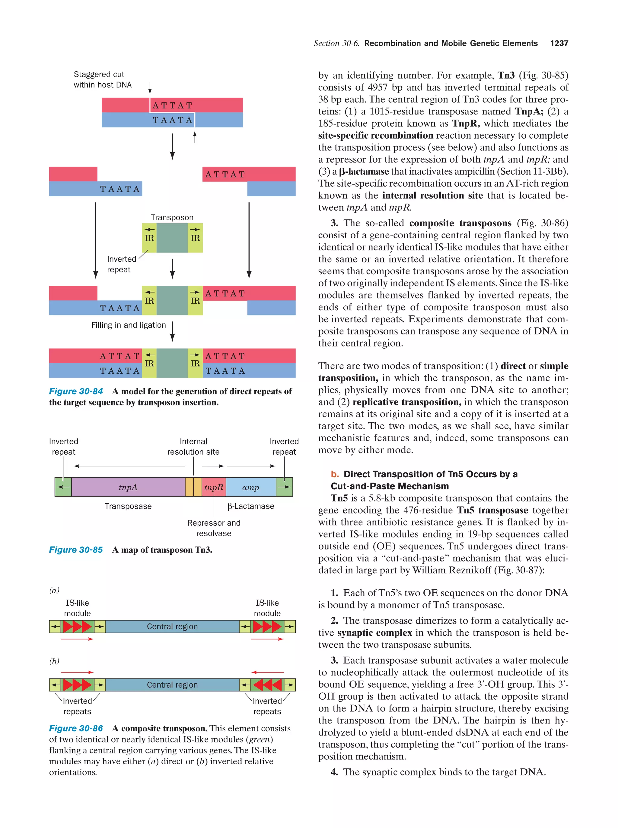 Biochemistry.4th.edition