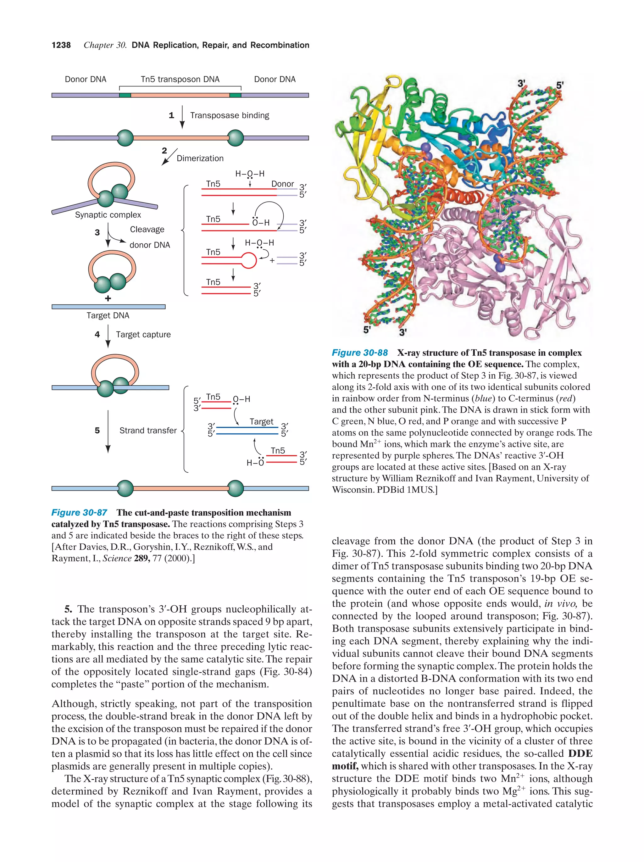 Biochemistry.4th.edition