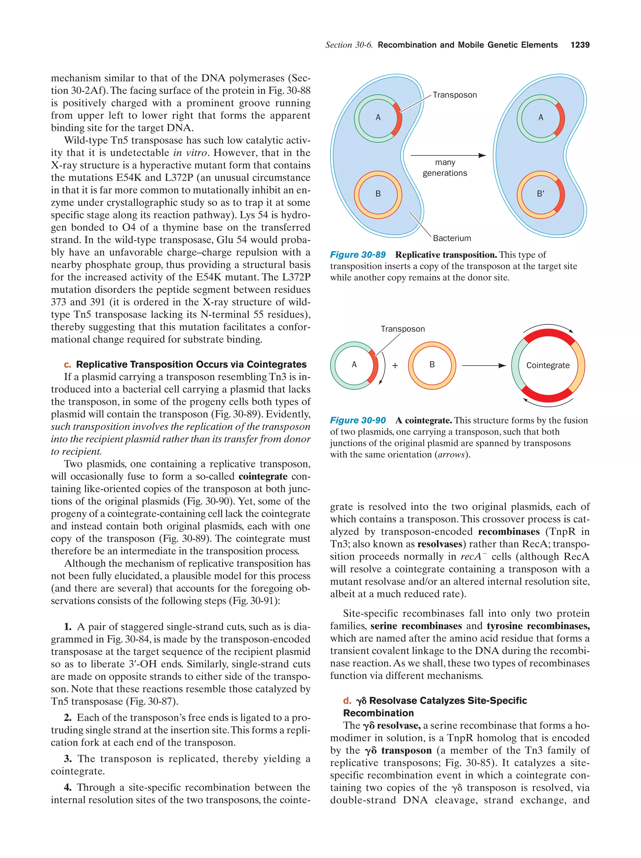 Biochemistry.4th.edition