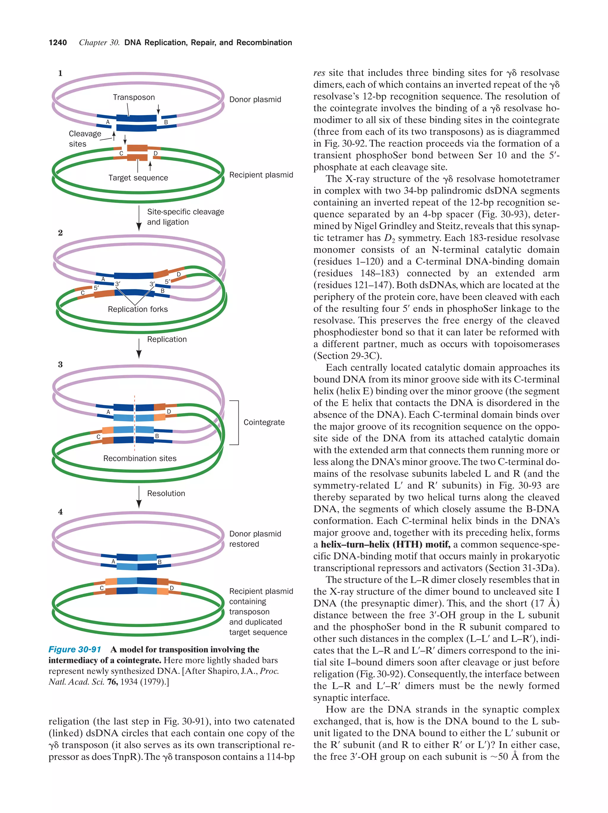 Biochemistry.4th.edition