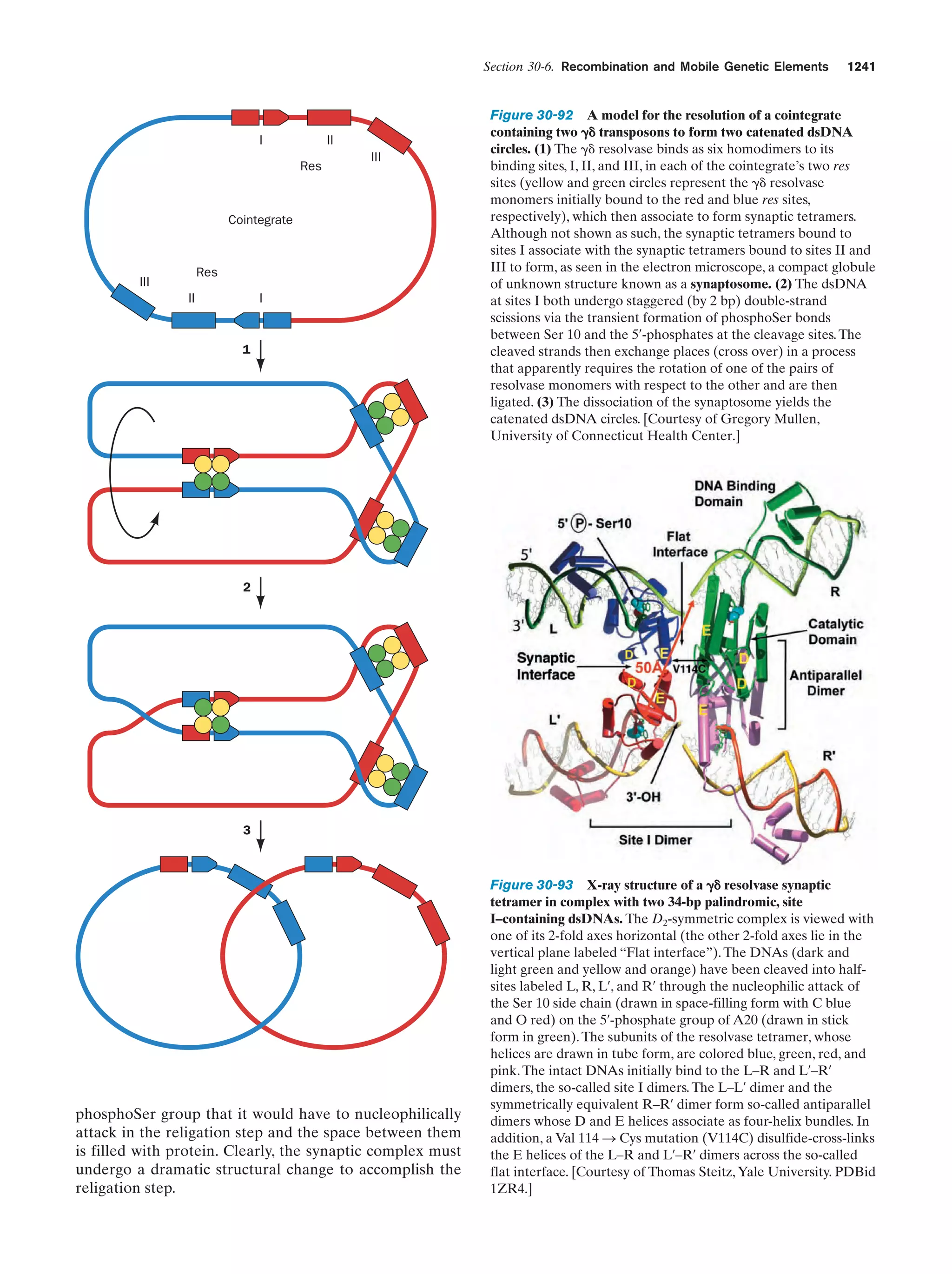 Biochemistry.4th.edition