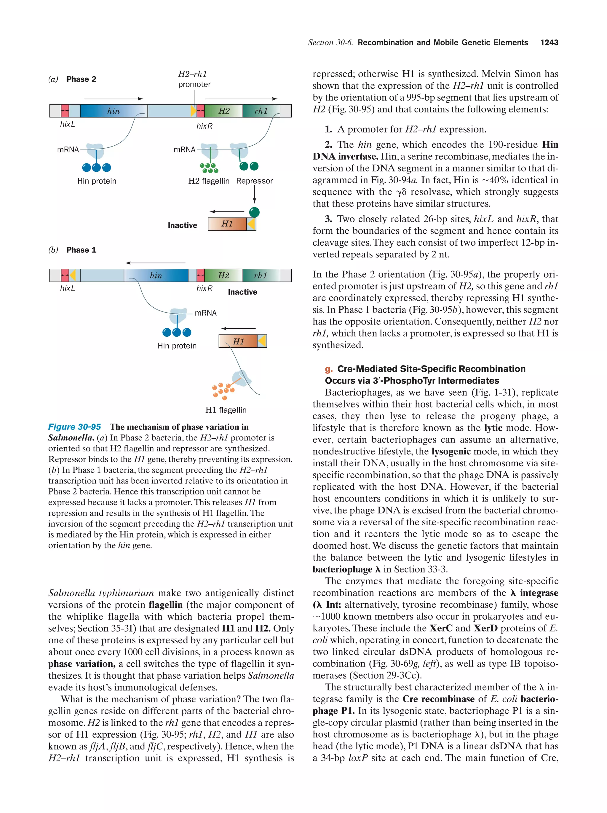 Biochemistry.4th.edition