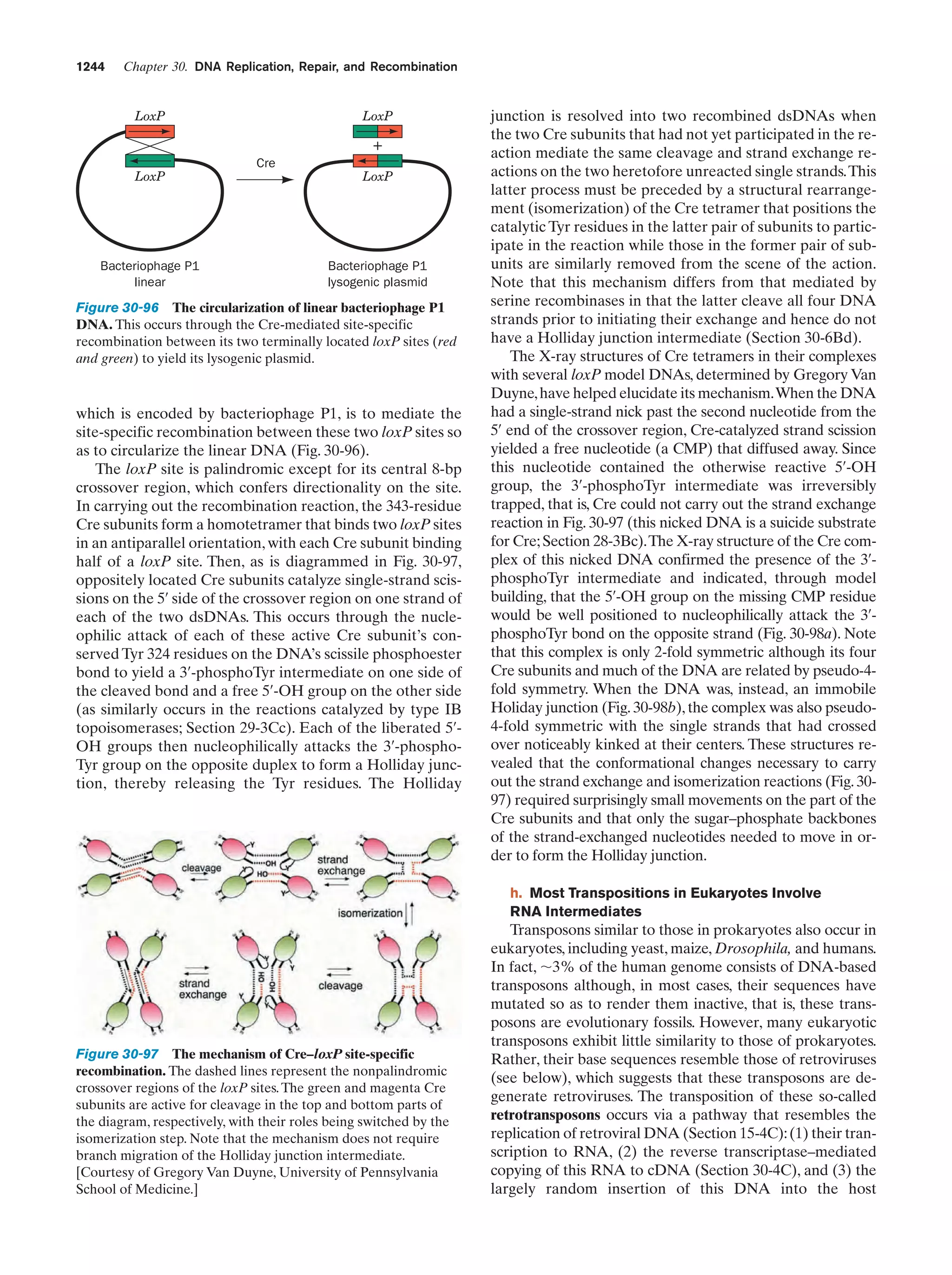 Biochemistry.4th.edition