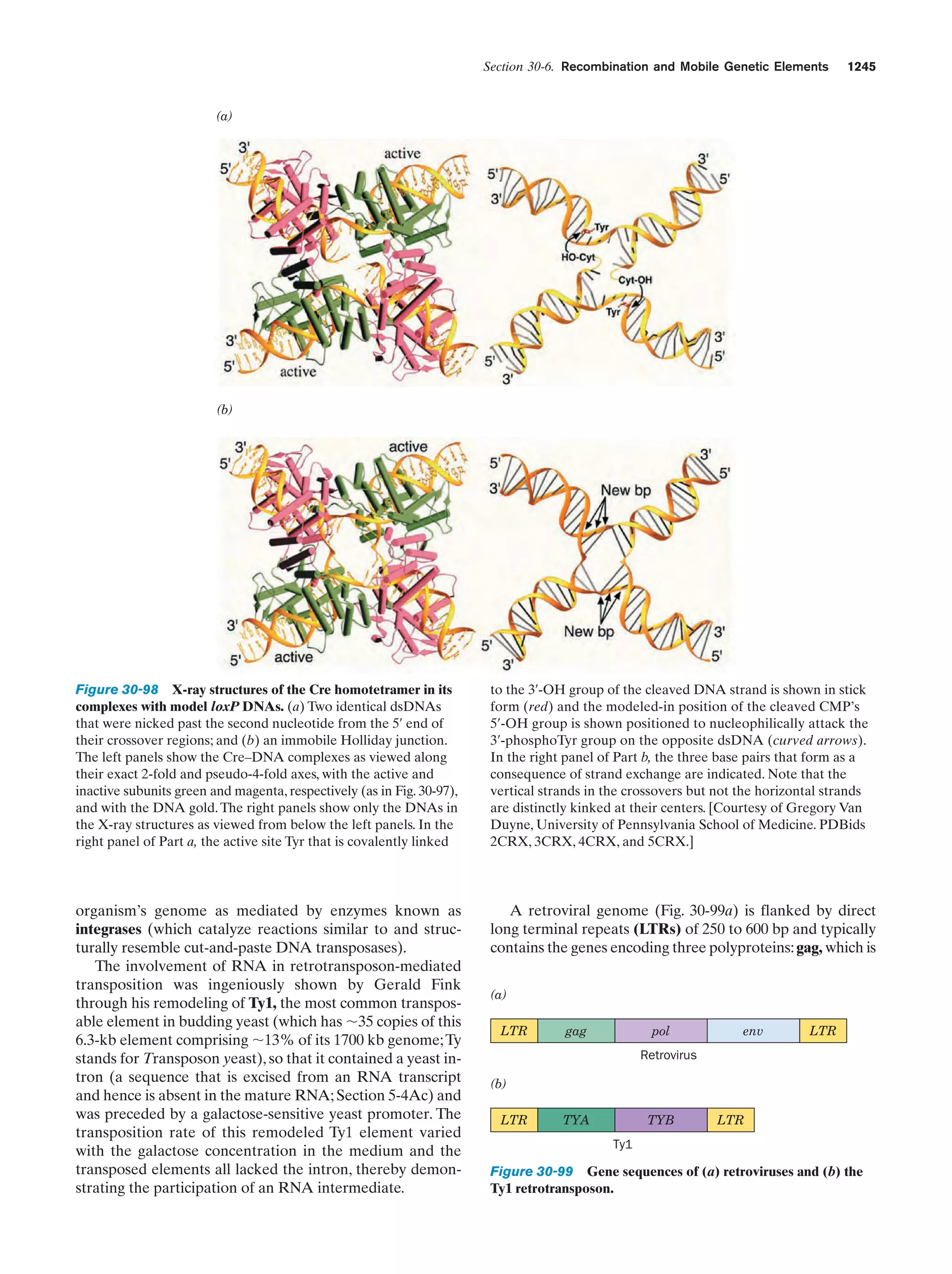 Biochemistry.4th.edition