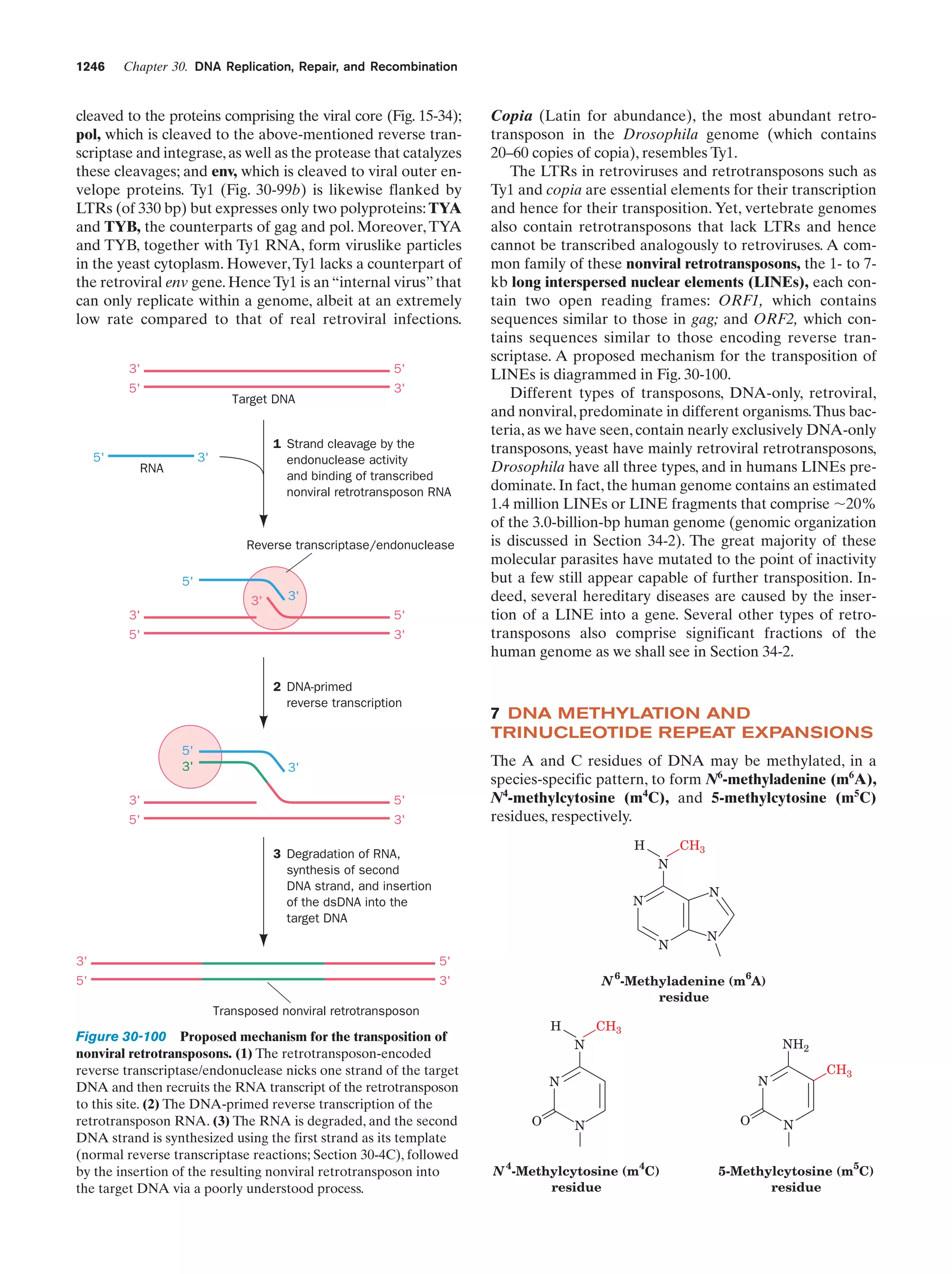 Biochemistry.4th.edition