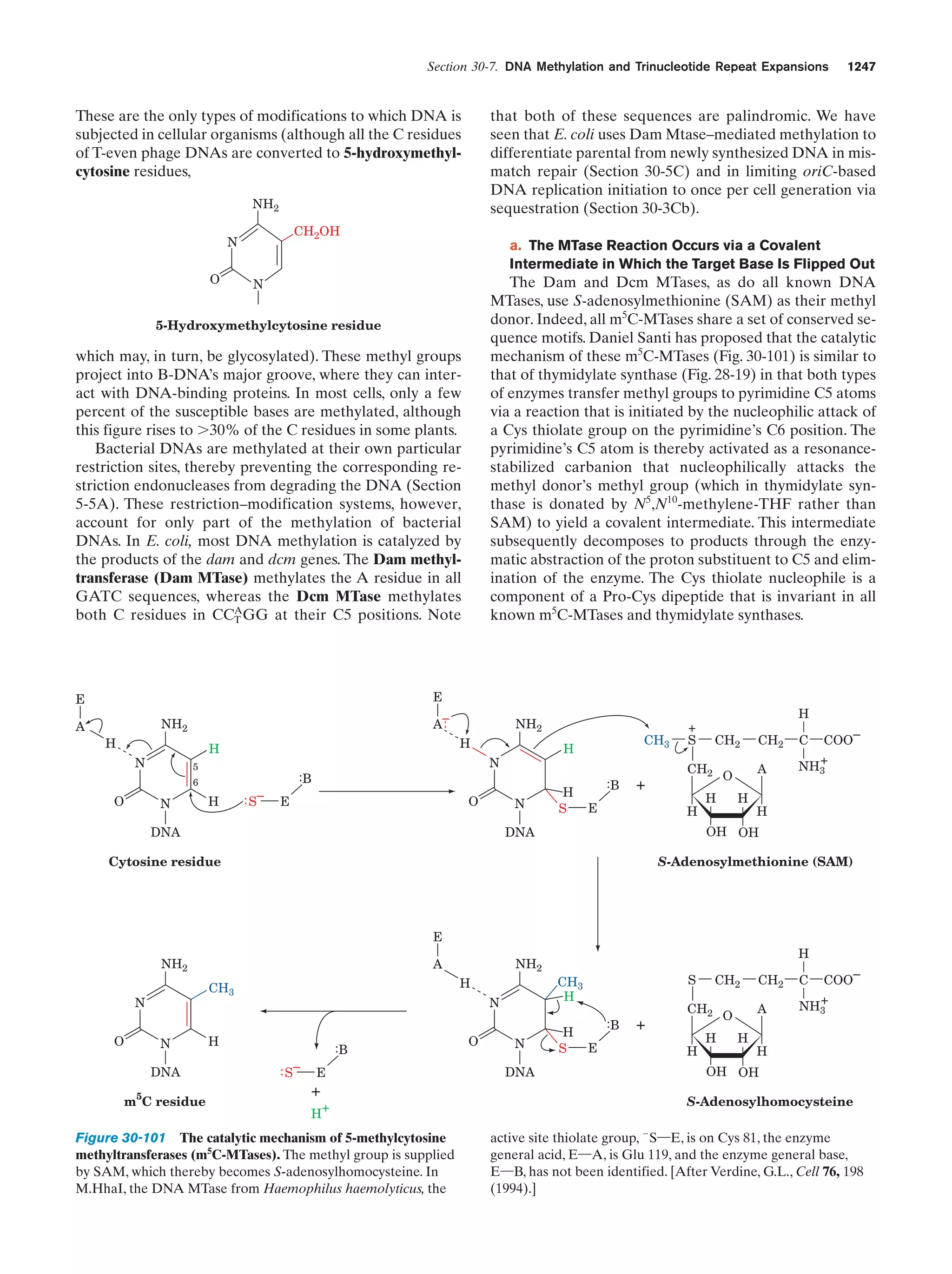 Biochemistry.4th.edition