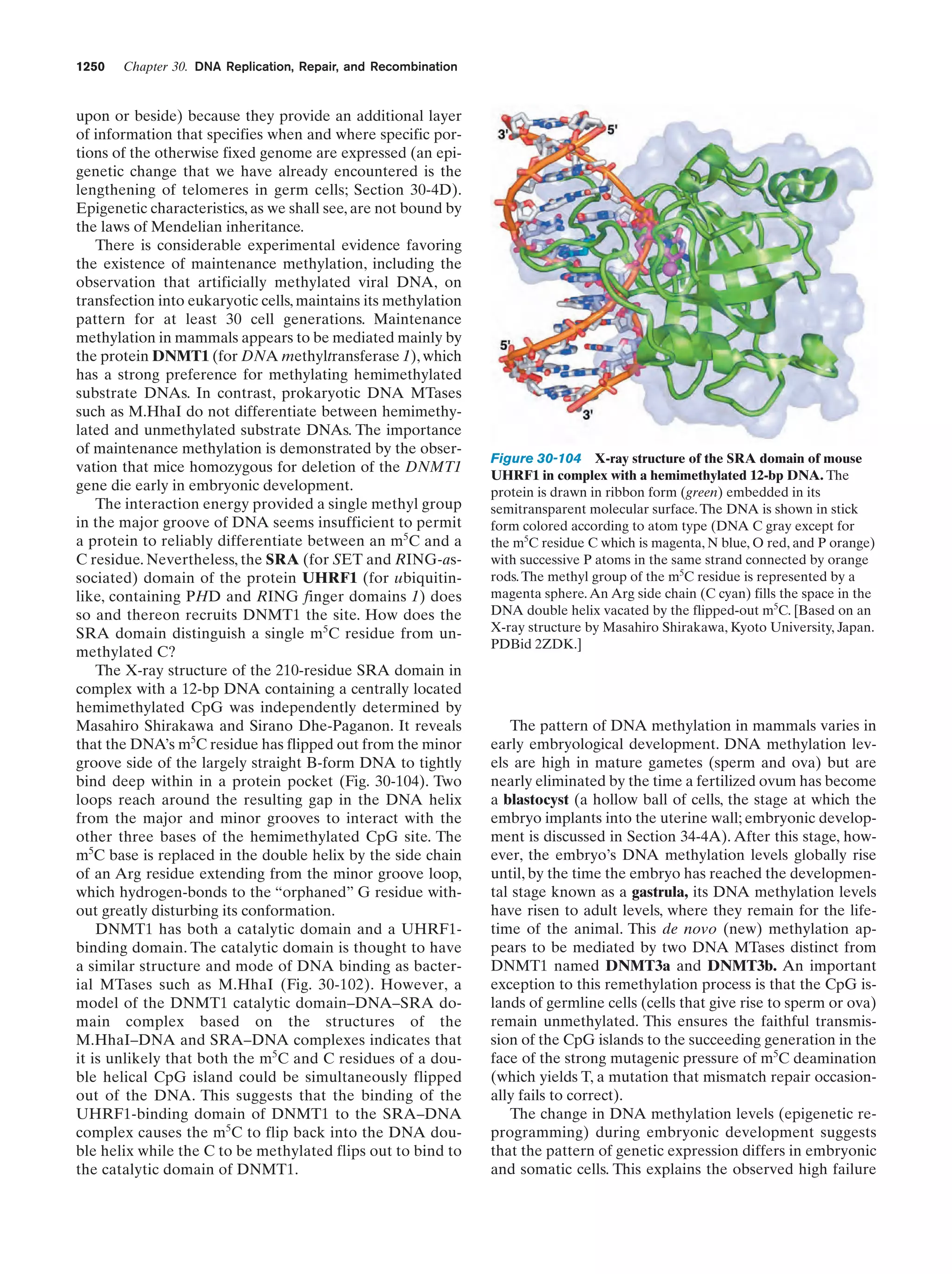Biochemistry.4th.edition