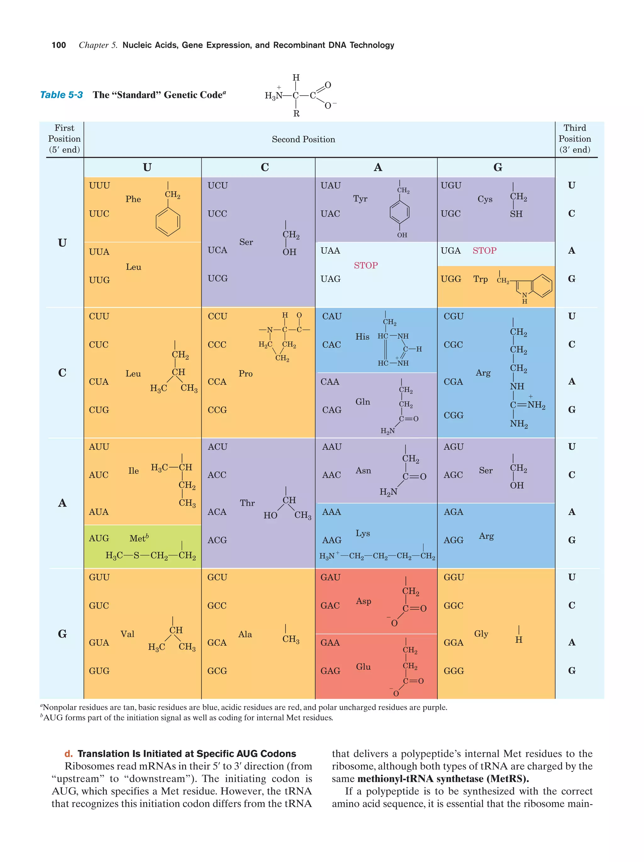 100

Chapter 5. Nucleic Acids, Gene Expression, and Recombinant DNA Technology

Table 5-3

The “Standard” Genetic Code

H

ϩ

a

H3N

C

C

R

First
Position
(5Ј end)

OϪ

Third
Position
(3Ј end)

Second Position

U
UUU

C

A

G

UAU

UCU

CH2

Phe

UCC

UCA

UUA

UGU

CH2

Tyr

UUC

U

O

UGC

UAC
CH2

Ser

SH

C

OH

UAA

OH

U

CH2

Cys

UGA

STOP

UGG

Trp

A

STOP

Leu
UCG

UUG

UAG

G

CH2
N
H

CUU

H
N

CUC

C

CH2
CH

Leu

CUA

H3C

CH3

CCC

H2C

O

C

CCU

C

CH2

CAC

His

CCA

HC

C

H

CGC

NH

CGA

CH2

Gln

Arg

C

CGG

O

ACU

A

H3C

Ile

AUC

CH
CH2
CH3

AUA
Metb

AUG

H3C

S

ACC

ACA

AAC

HO

CH3

GUU
GUC

ϩ

Lys
CH2

AGG
CH2

CH2

GAC

GUA
GUG

CH

Val
H3C

CH3

GCA

Ala

GCG

Ser

OH

C

A
Arg

G

GGU

Asp

C

GAA
GAG

CH2

U

GGC

C

CH2
O

O

CH3

G

CH2

GAU

GCC

AGC

AGA

Ϫ

G

O

AAA

H 3N

GCU

C

NH2

U

H2N

AAG

CH2

CH2

Asn

CH

Thr

ACG

CH2

AGU

AAU

A
ϩ

NH2

H2N

AUU

CH2
NH

CH2
C

C

CH2

ϩ

CAA
CAG

U
CH2

NH

HC

Pro

CGU

CH2

CH2

CCG

CUG

CAU

GGA

CH2
CH2

Glu
Ϫ

C

O

GGG

Gly

H

A
G

O

a

Nonpolar residues are tan, basic residues are blue, acidic residues are red, and polar uncharged residues are purple.
AUG forms part of the initiation signal as well as coding for internal Met residues.

b

d. Translation Is Initiated at Specific AUG Codons

Ribosomes read mRNAs in their 5¿ to 3¿ direction (from
“upstream” to “downstream”). The initiating codon is
AUG, which specifies a Met residue. However, the tRNA
that recognizes this initiation codon differs from the tRNA

that delivers a polypeptide’s internal Met residues to the
ribosome, although both types of tRNA are charged by the
same methionyl-tRNA synthetase (MetRS).
If a polypeptide is to be synthesized with the correct
amino acid sequence, it is essential that the ribosome main-

 