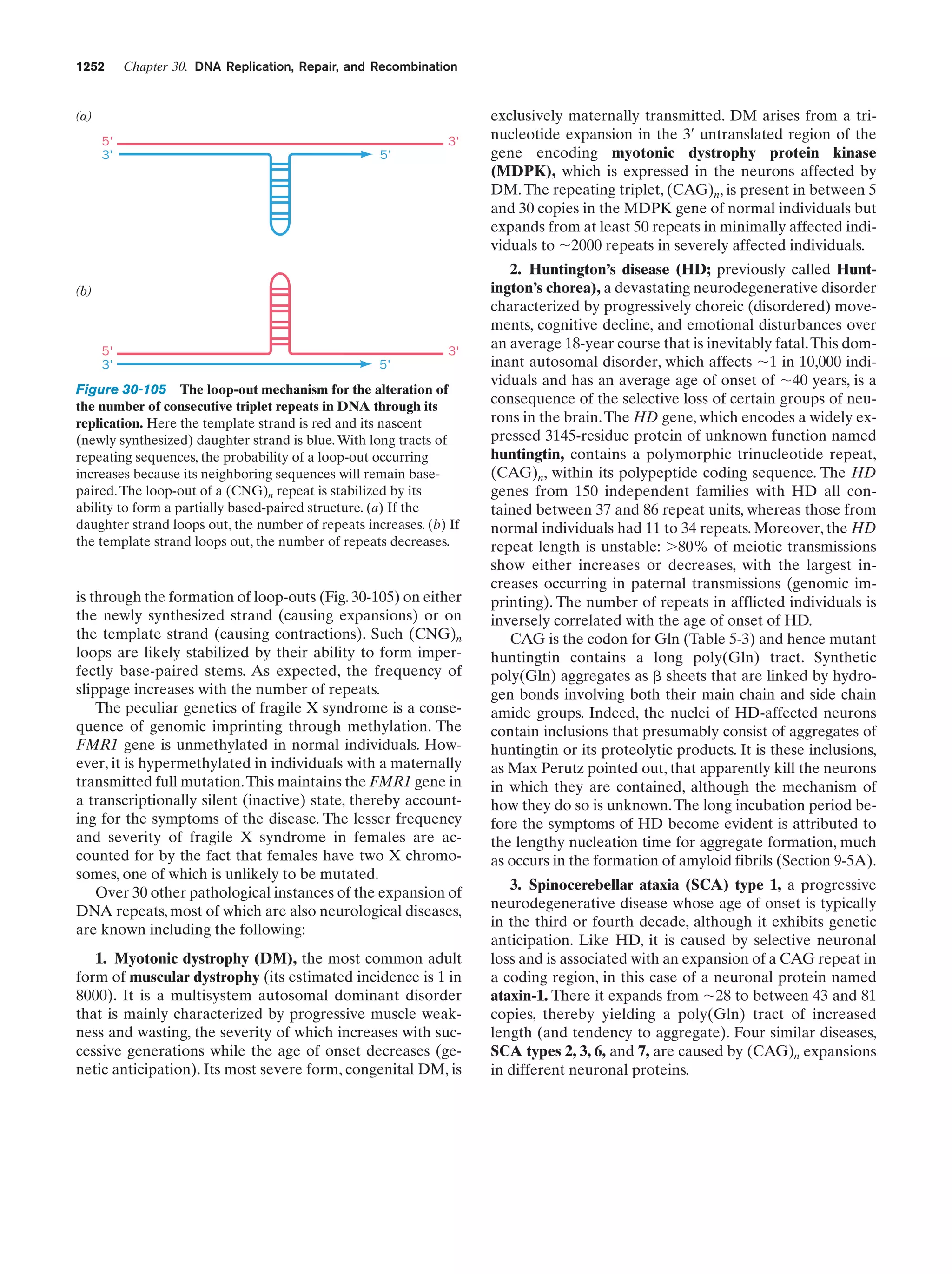 Biochemistry.4th.edition