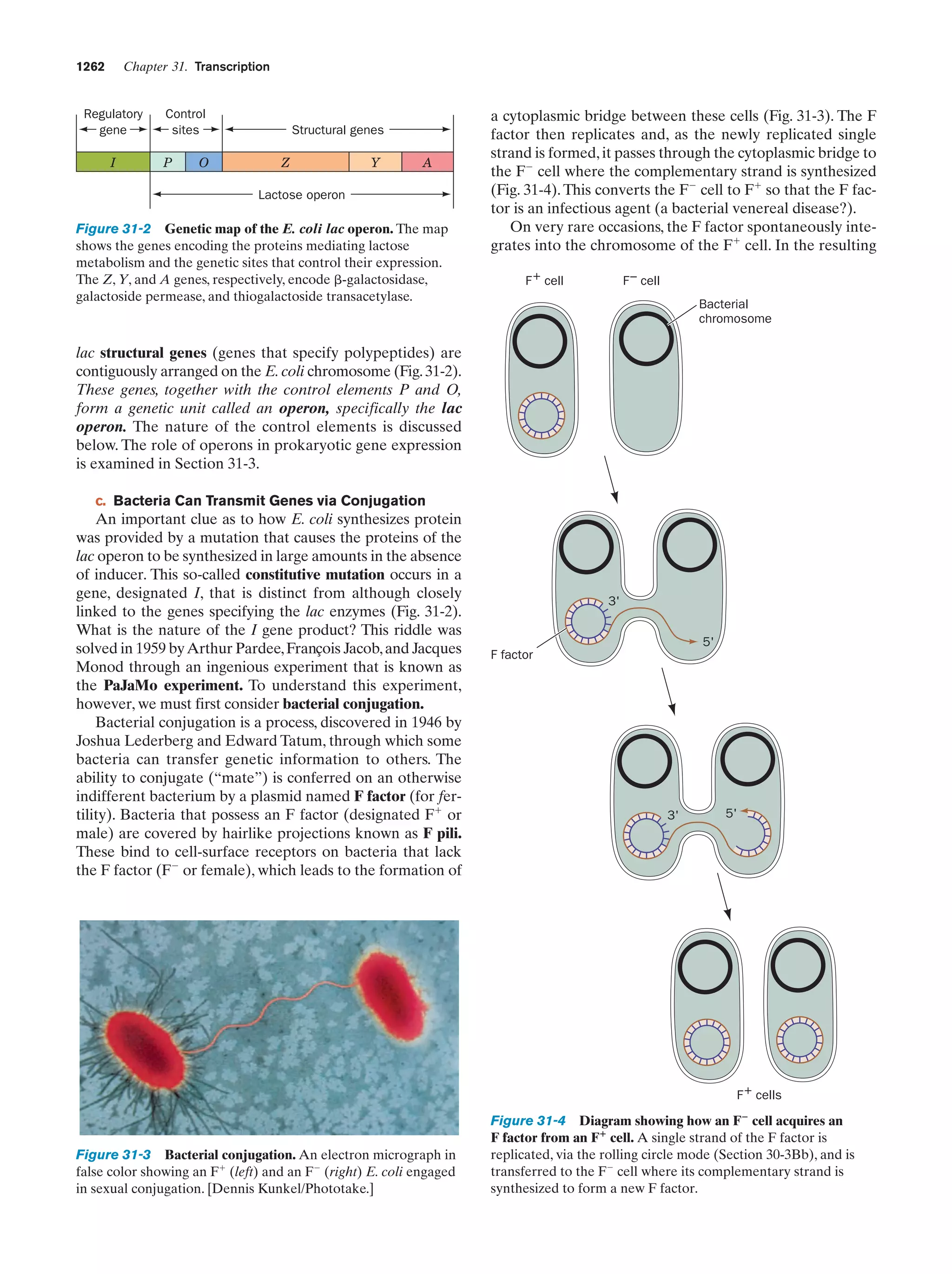 Biochemistry.4th.edition