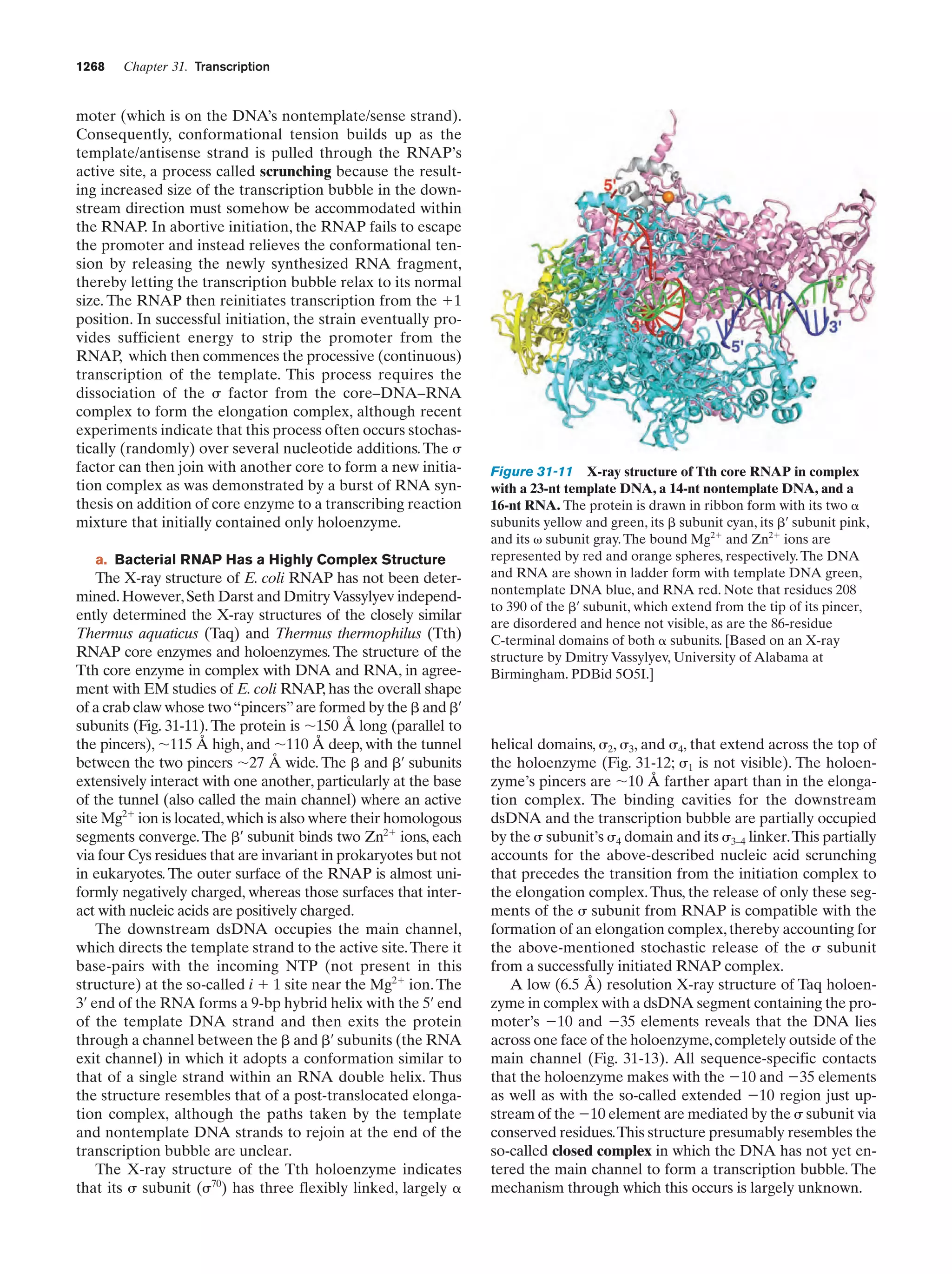 Biochemistry.4th.edition
