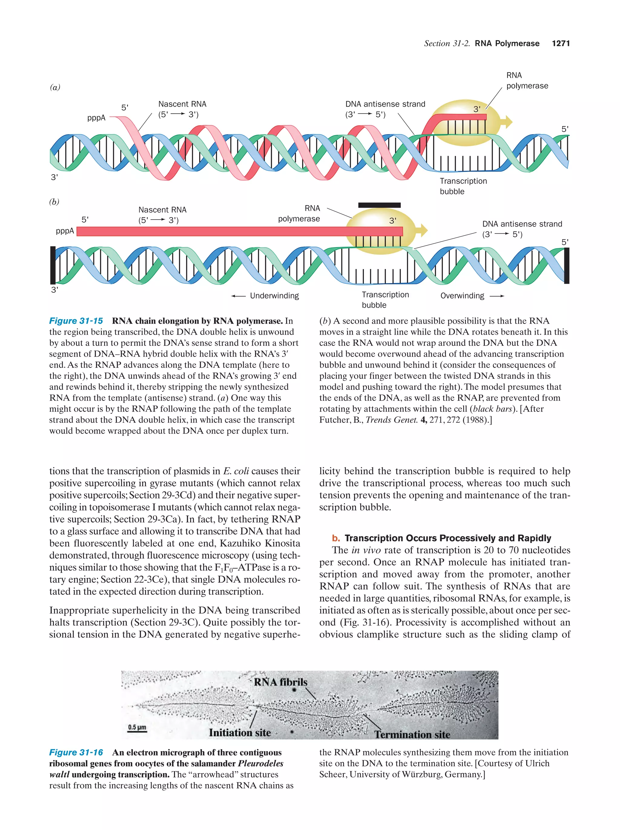 Biochemistry.4th.edition
