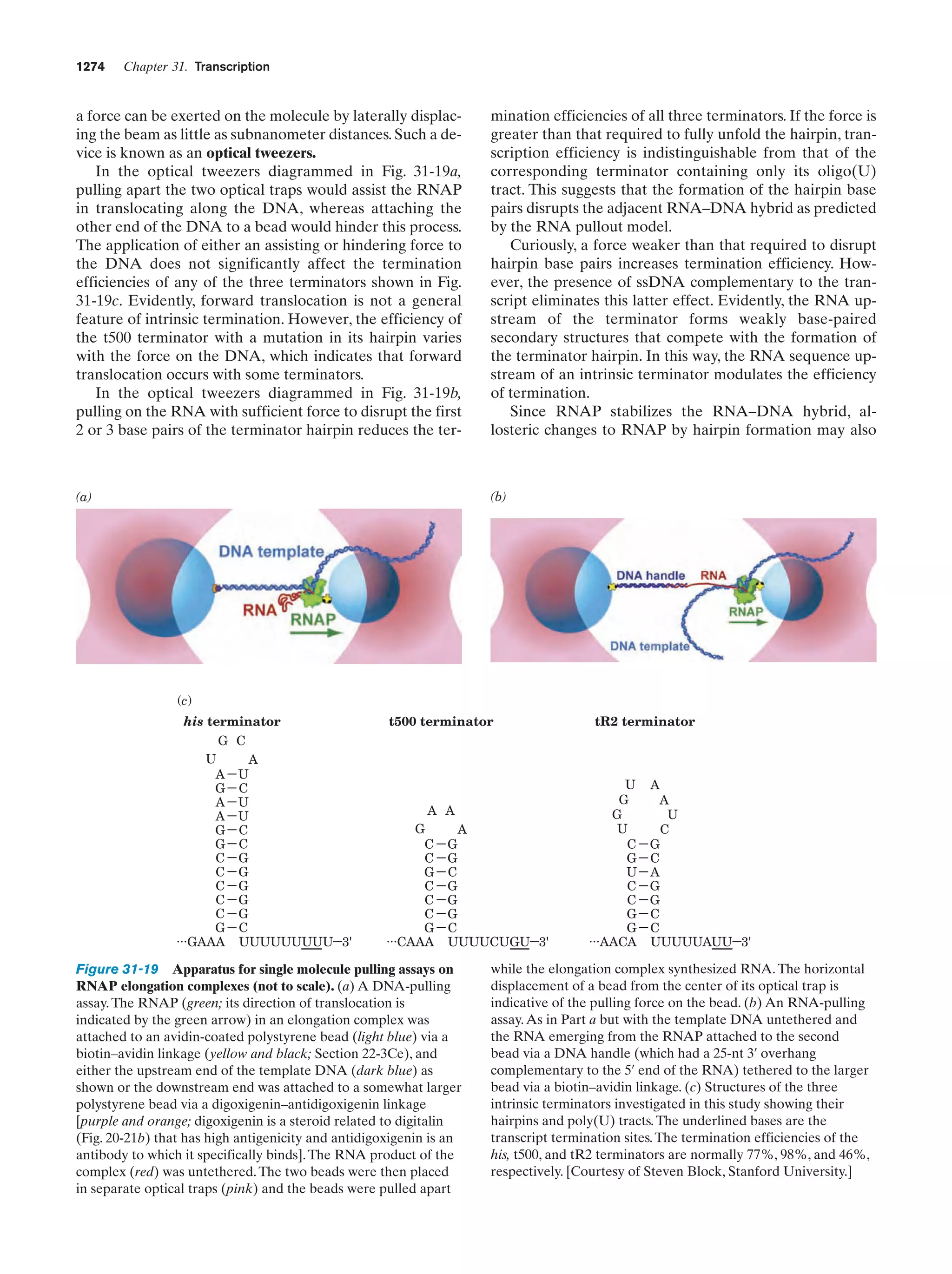 Biochemistry.4th.edition