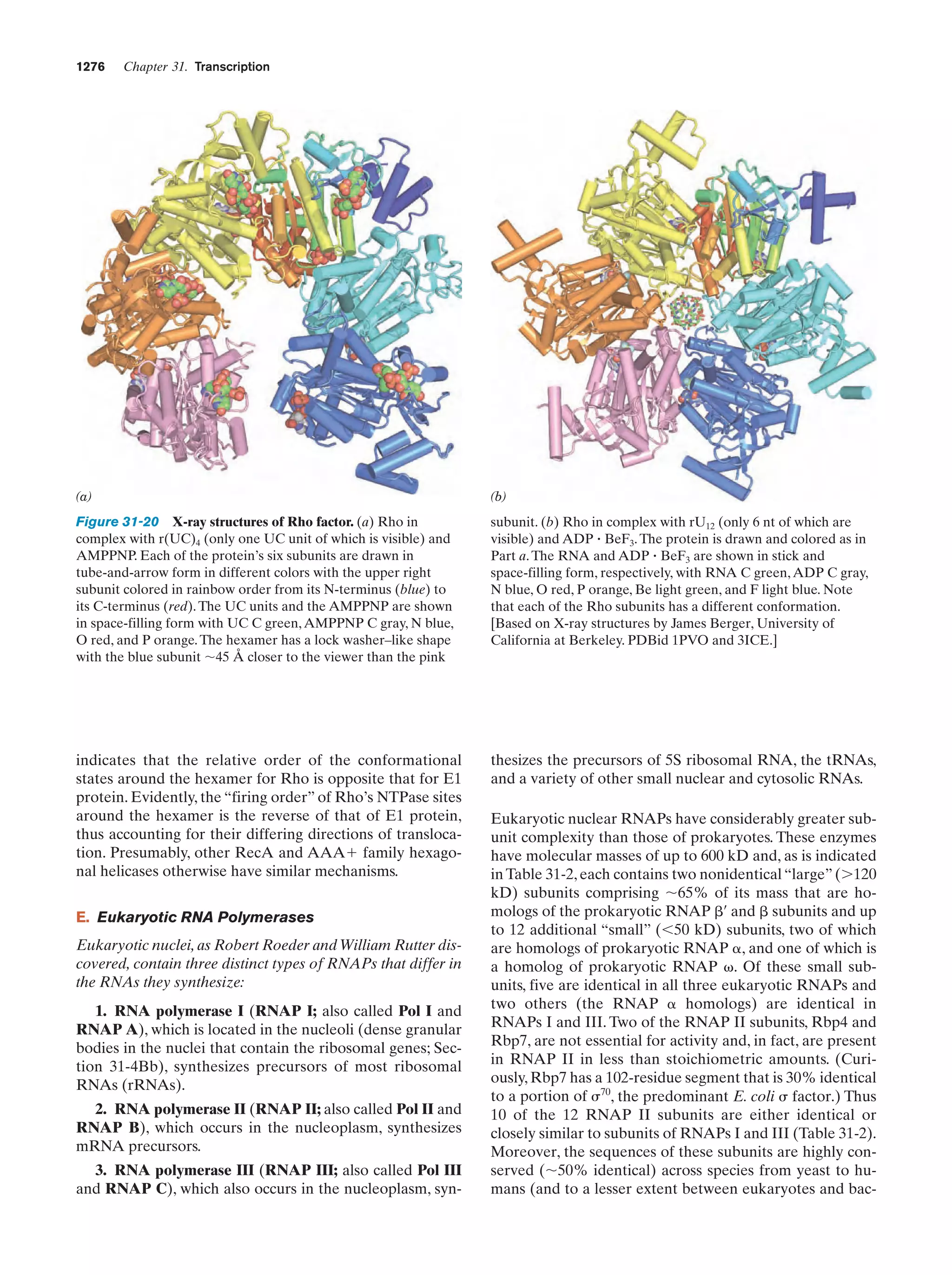 Biochemistry.4th.edition