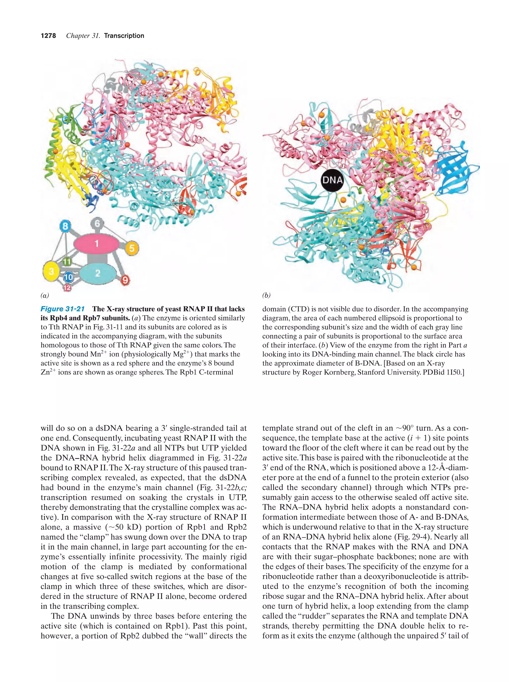 Biochemistry.4th.edition