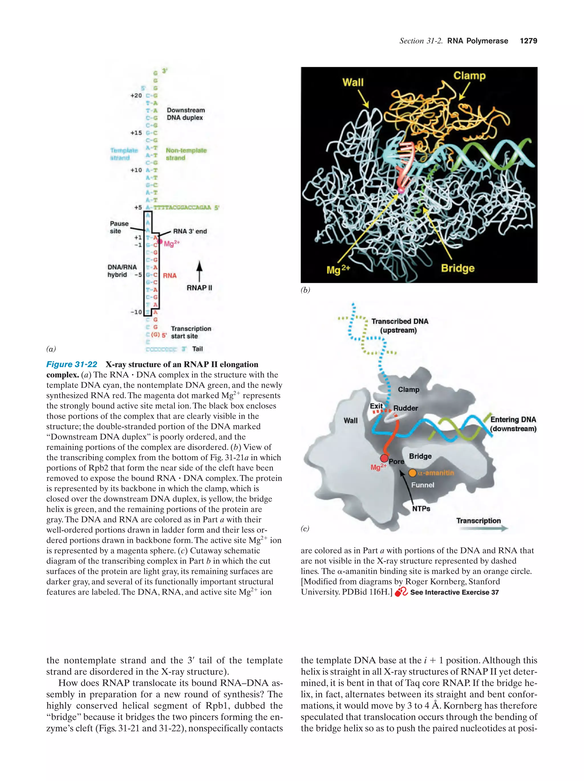 Biochemistry.4th.edition
