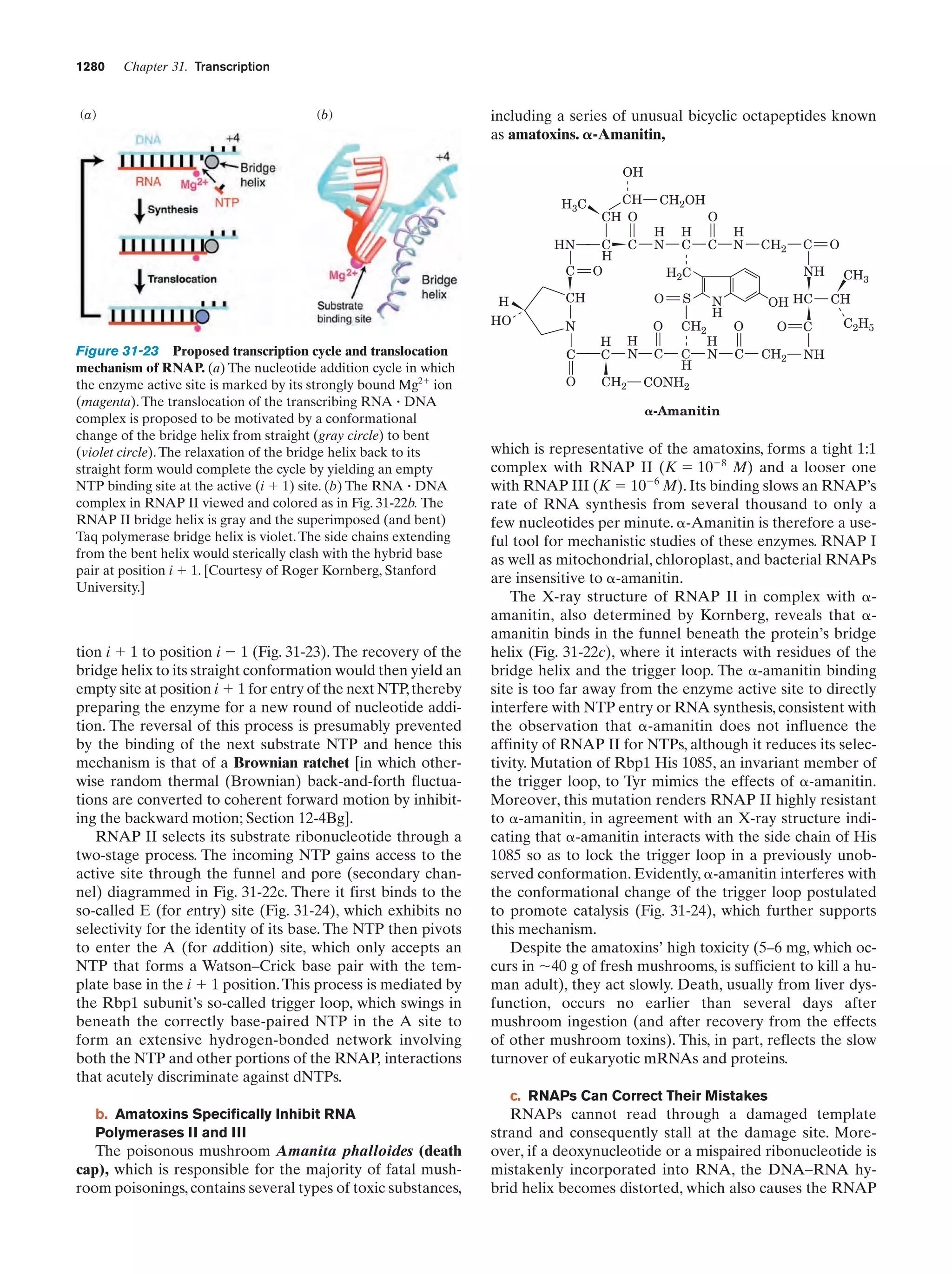 Biochemistry.4th.edition