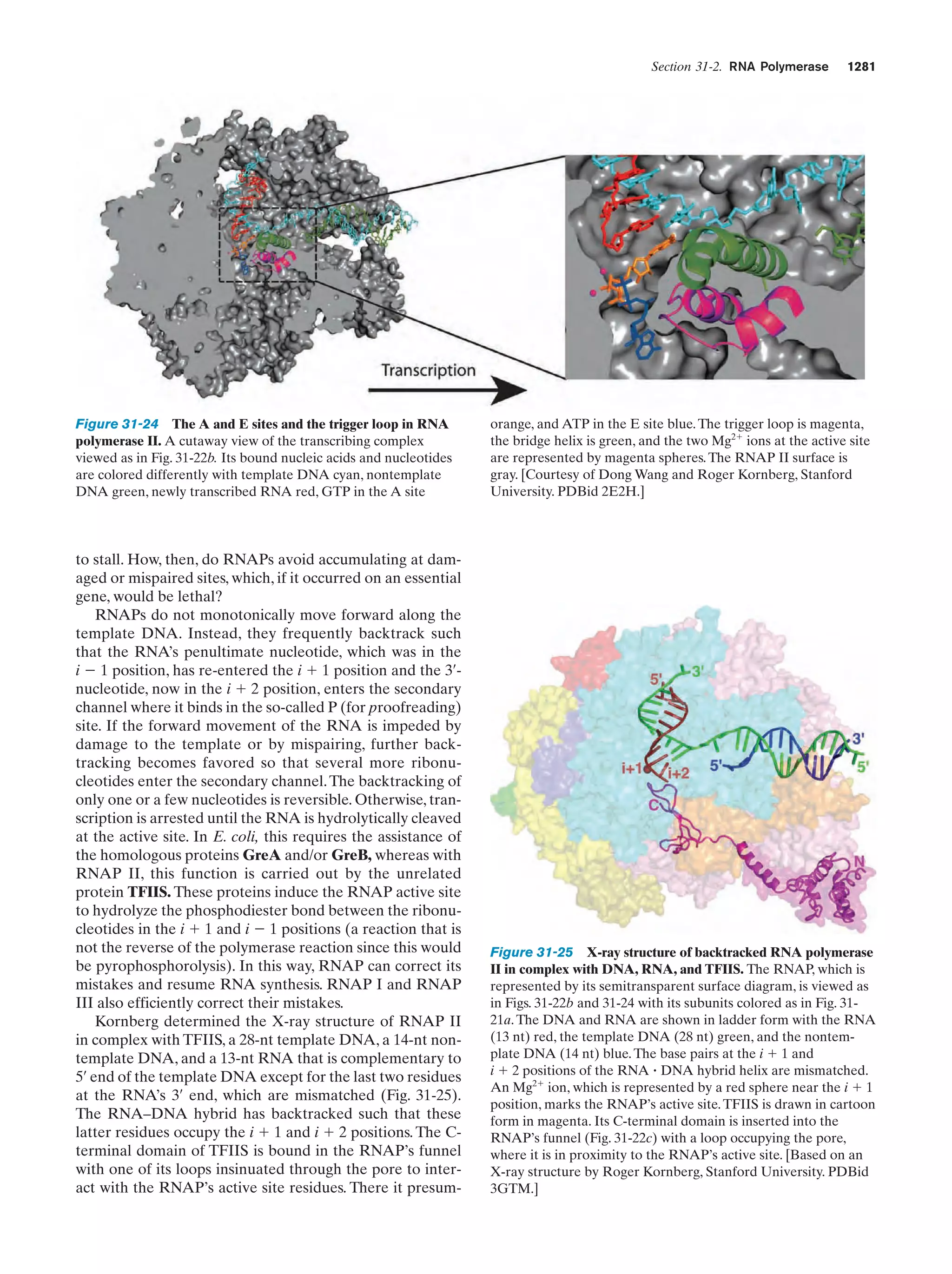 Biochemistry.4th.edition