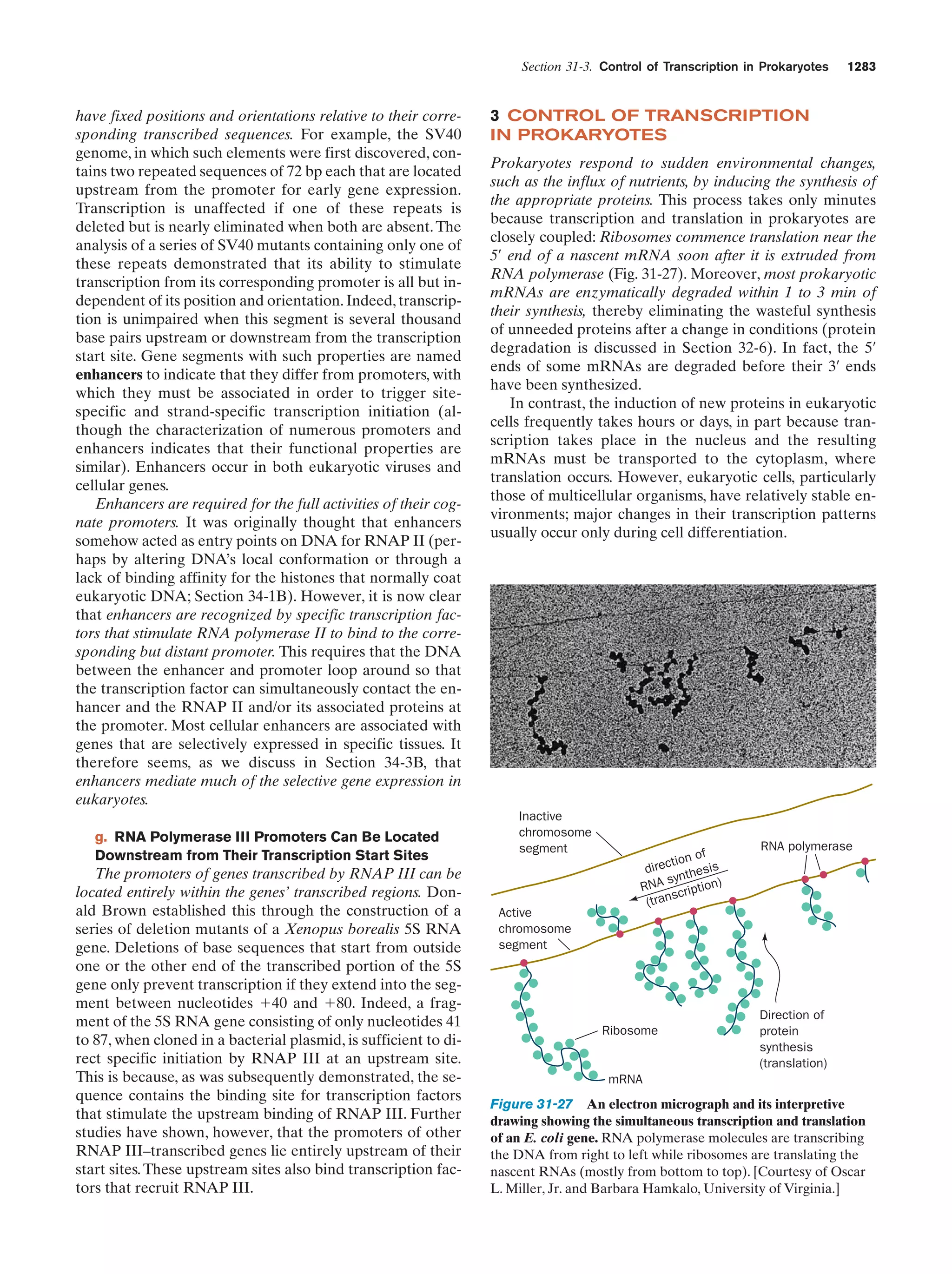 Biochemistry.4th.edition