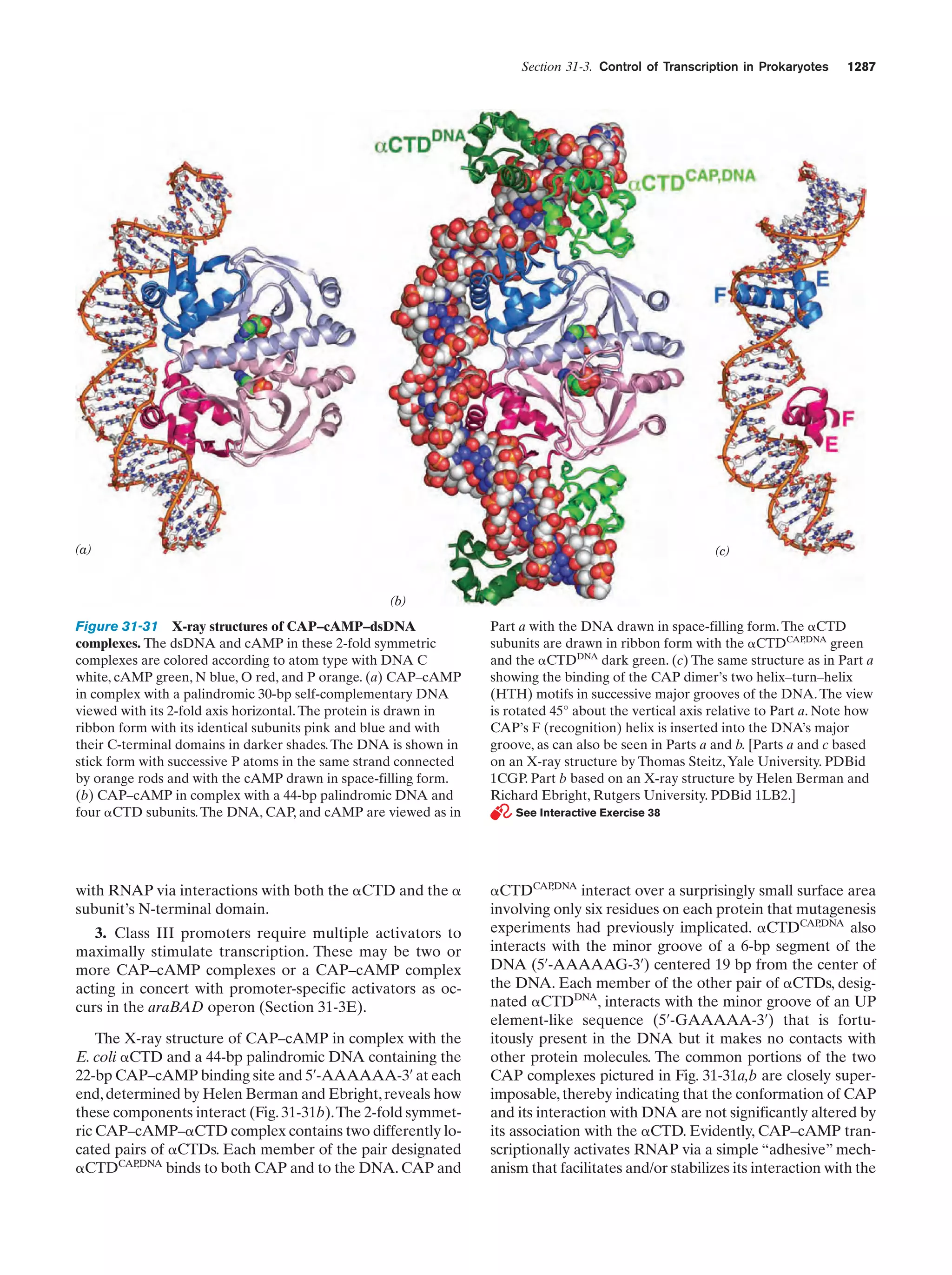 Biochemistry.4th.edition