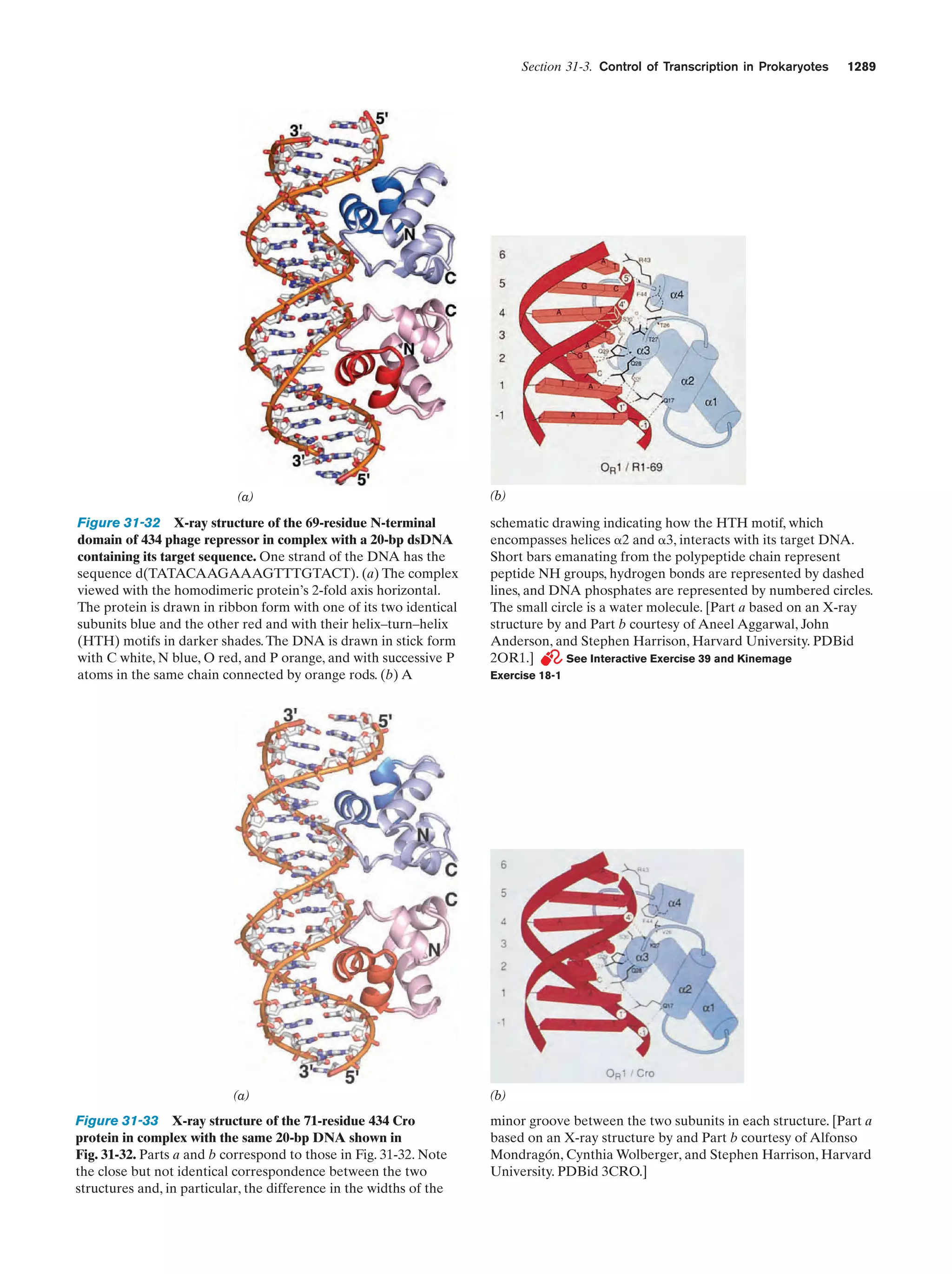 Biochemistry.4th.edition