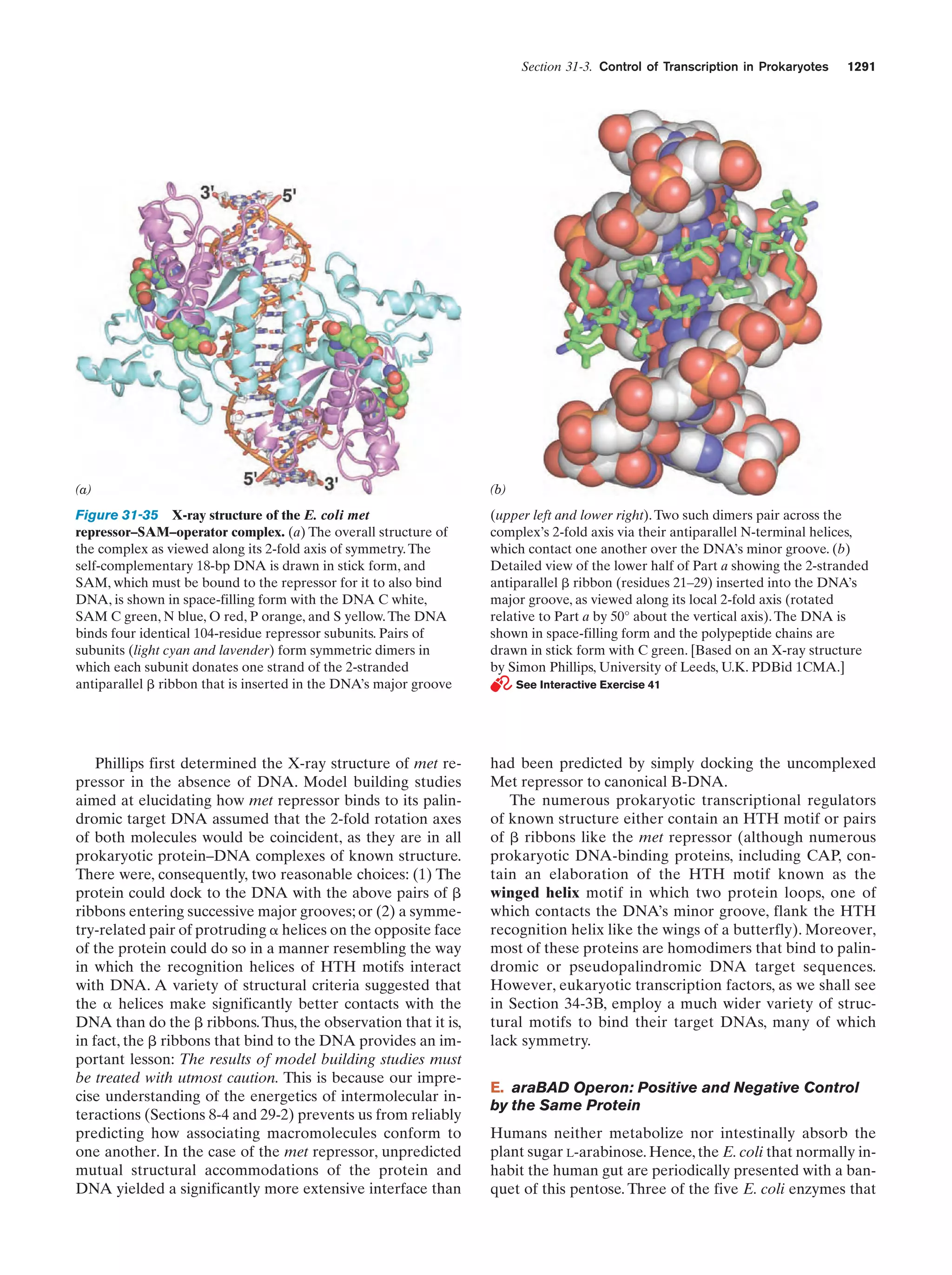 Biochemistry.4th.edition