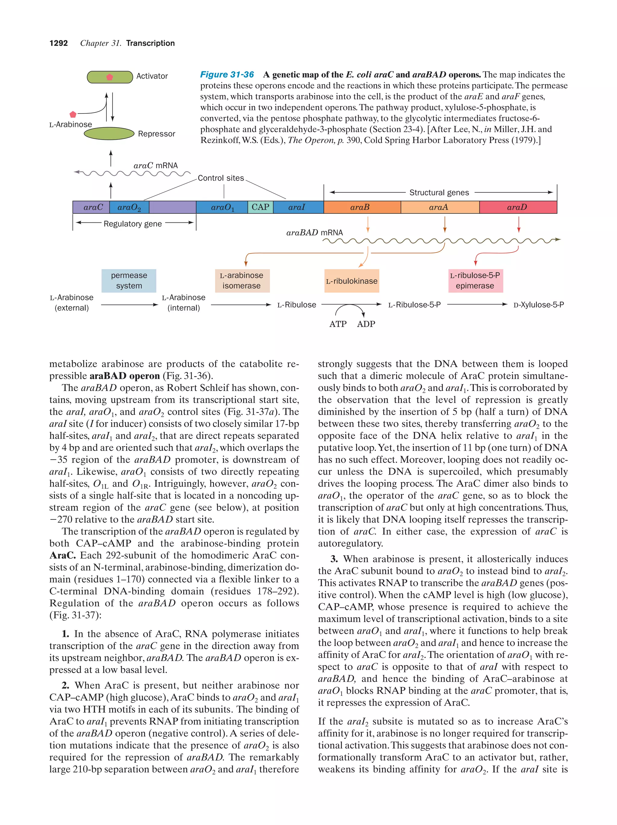 Biochemistry.4th.edition