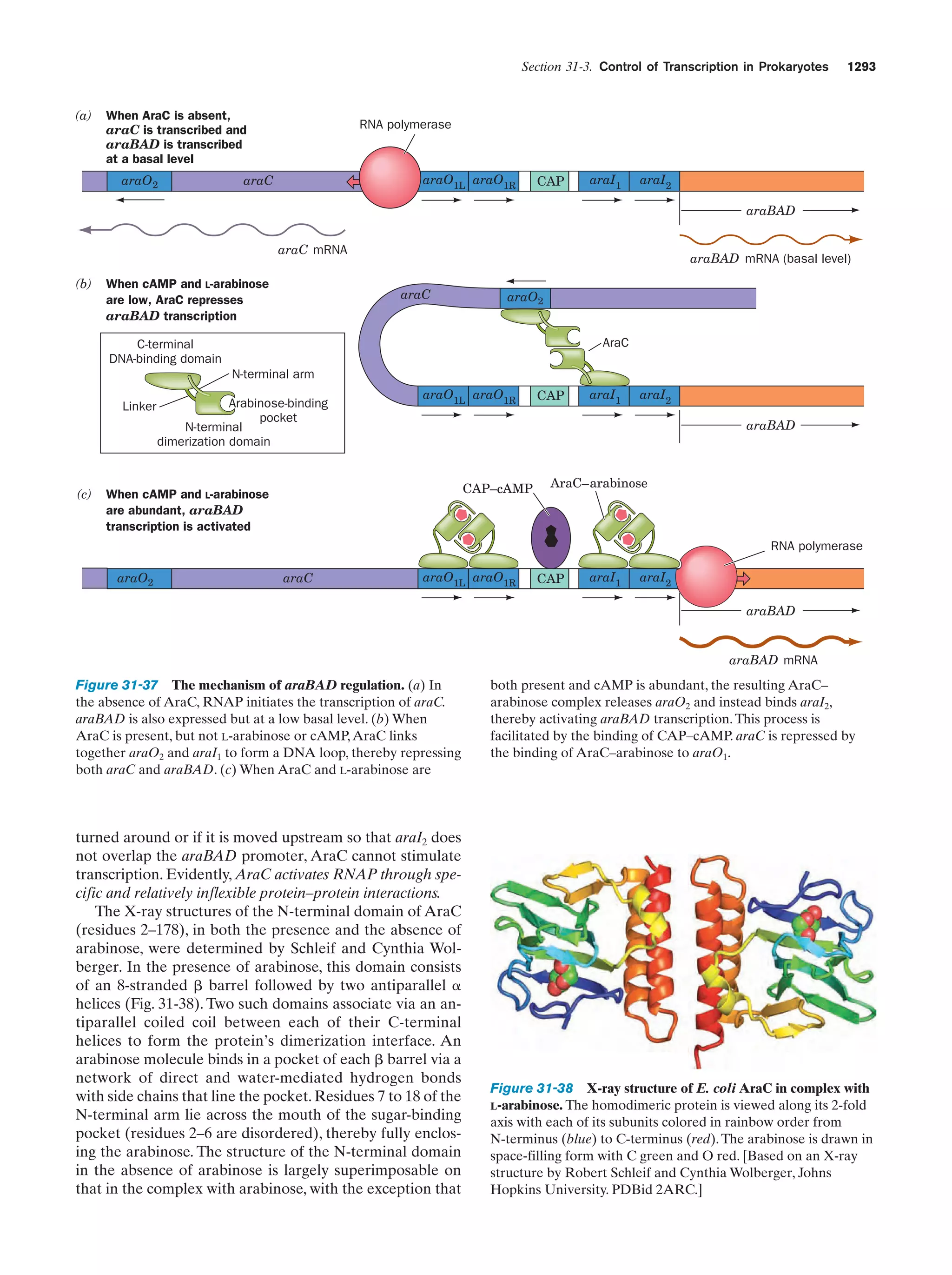 Biochemistry.4th.edition