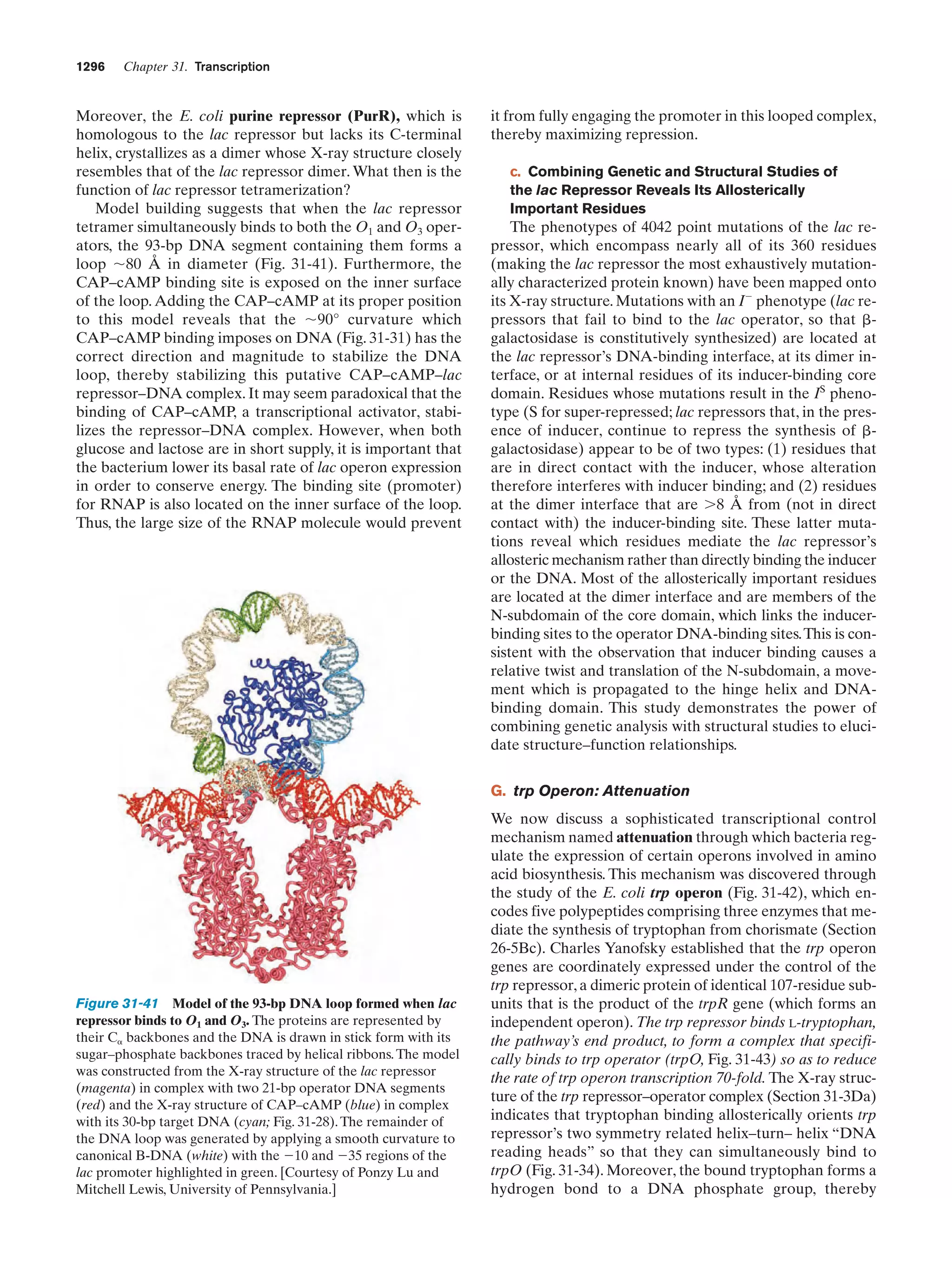 Biochemistry.4th.edition