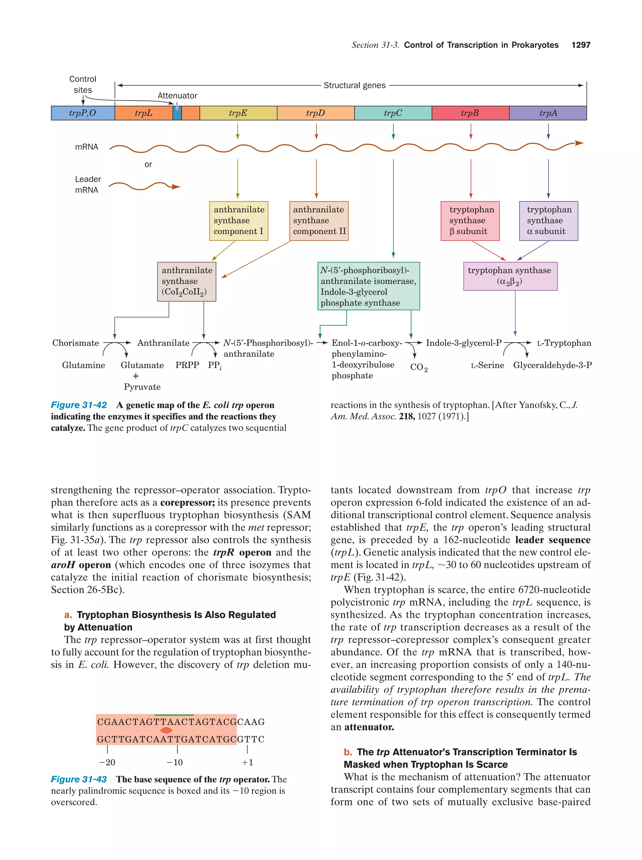 Biochemistry.4th.edition