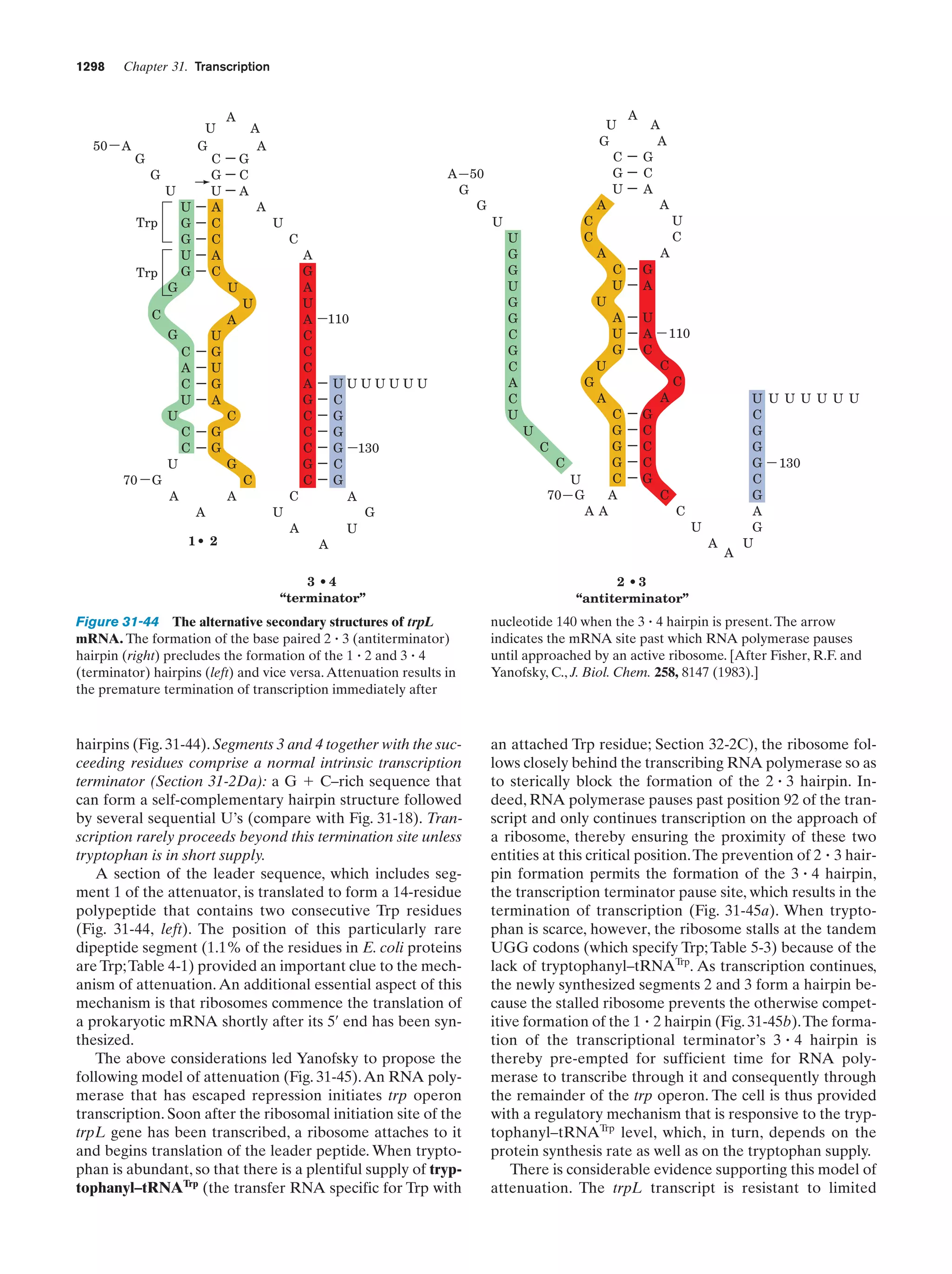 Biochemistry.4th.edition