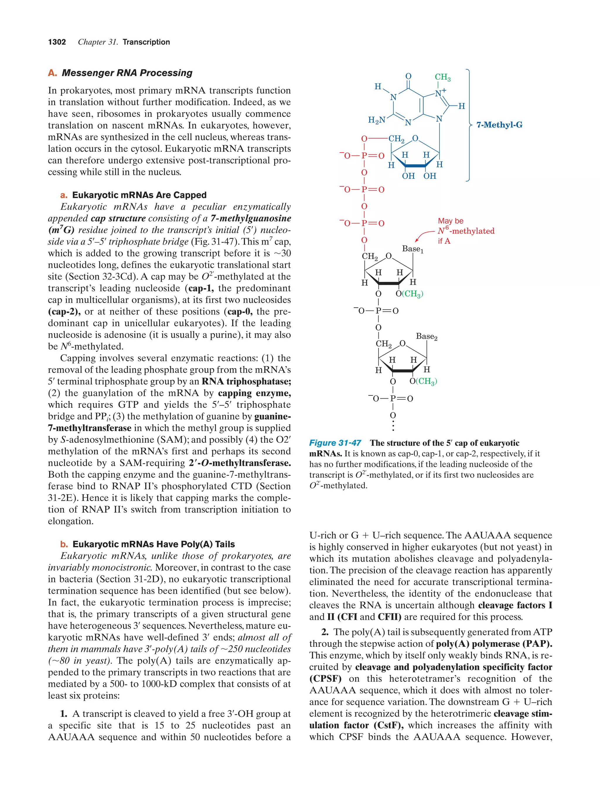 Biochemistry.4th.edition