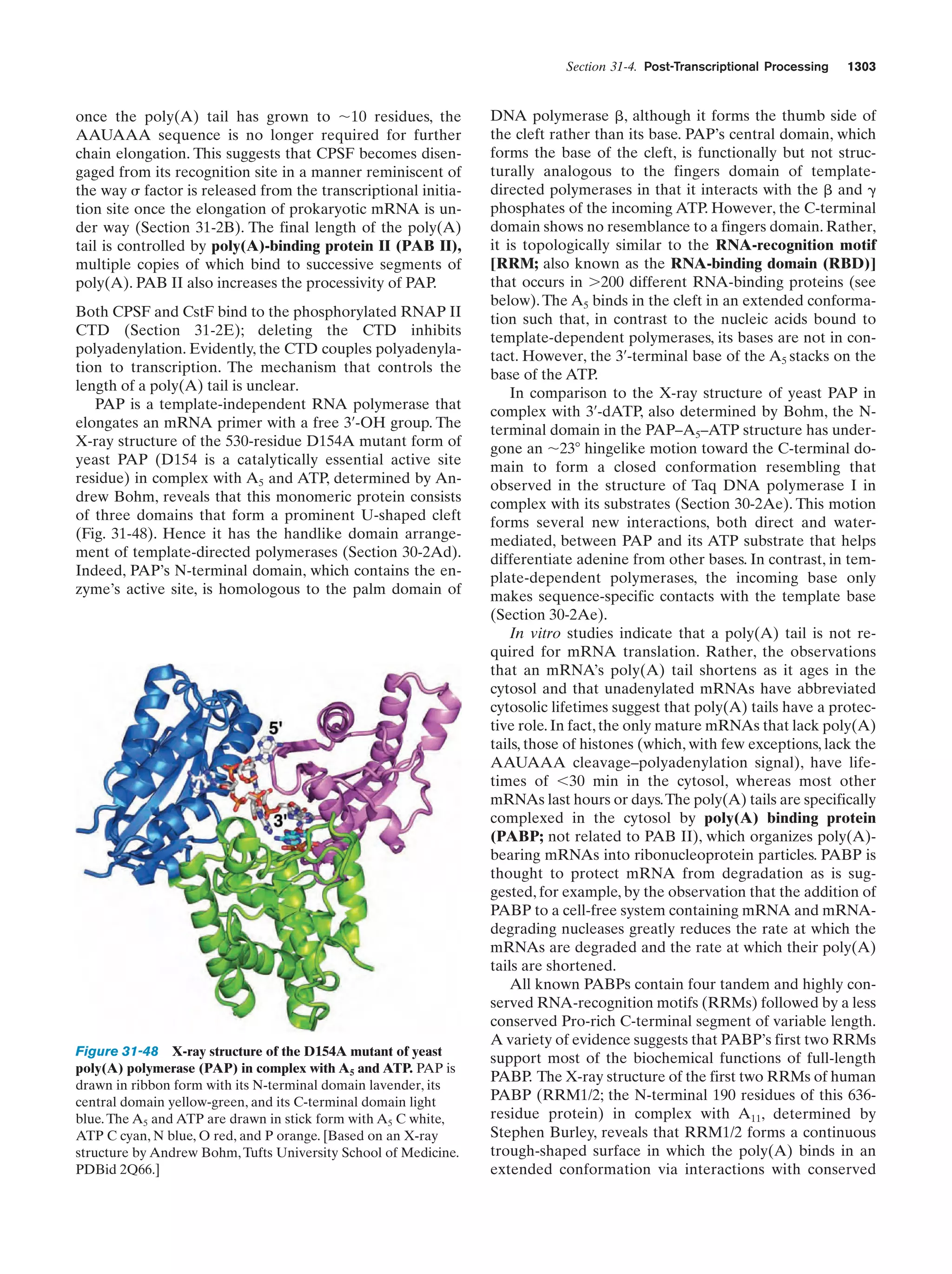 Biochemistry.4th.edition