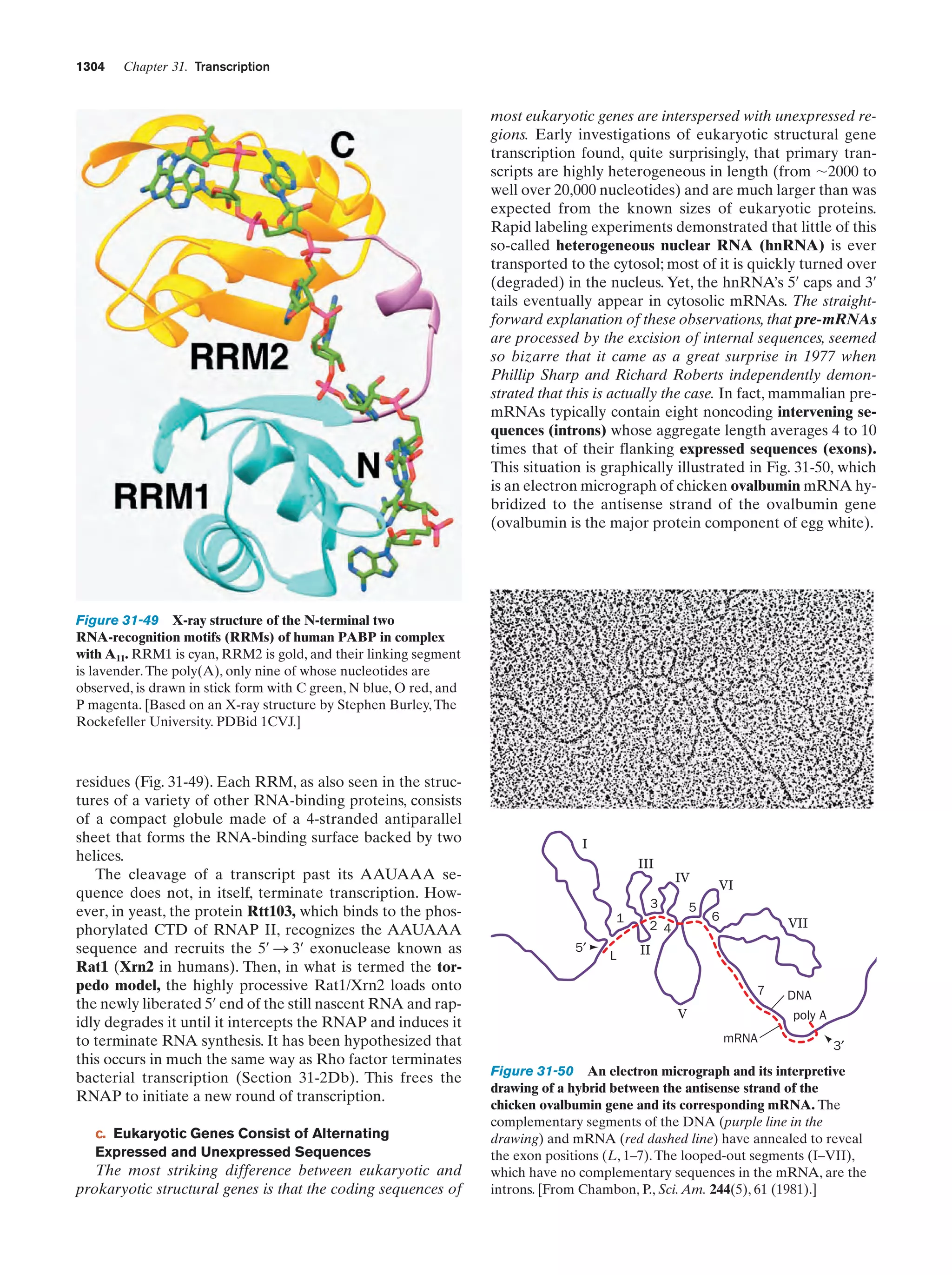 Biochemistry.4th.edition