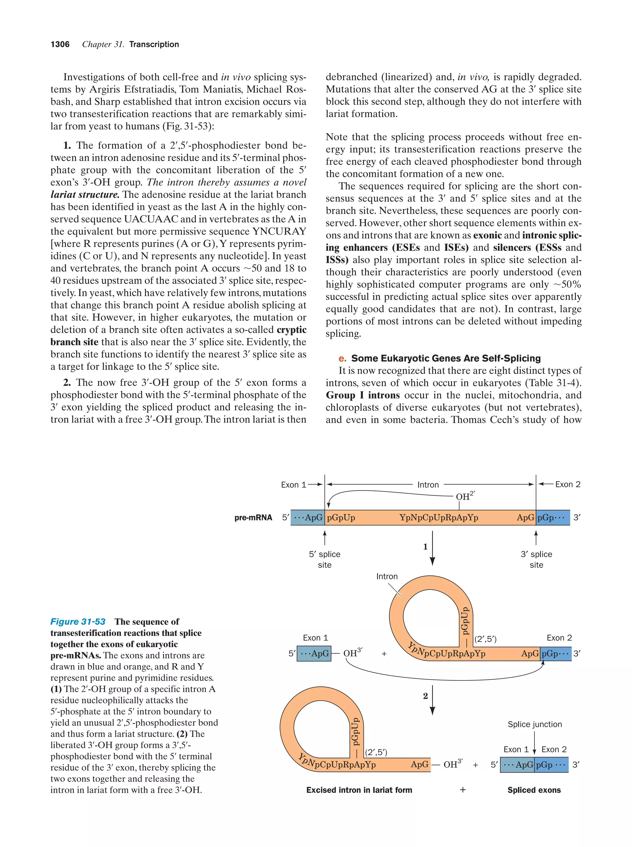 Biochemistry.4th.edition