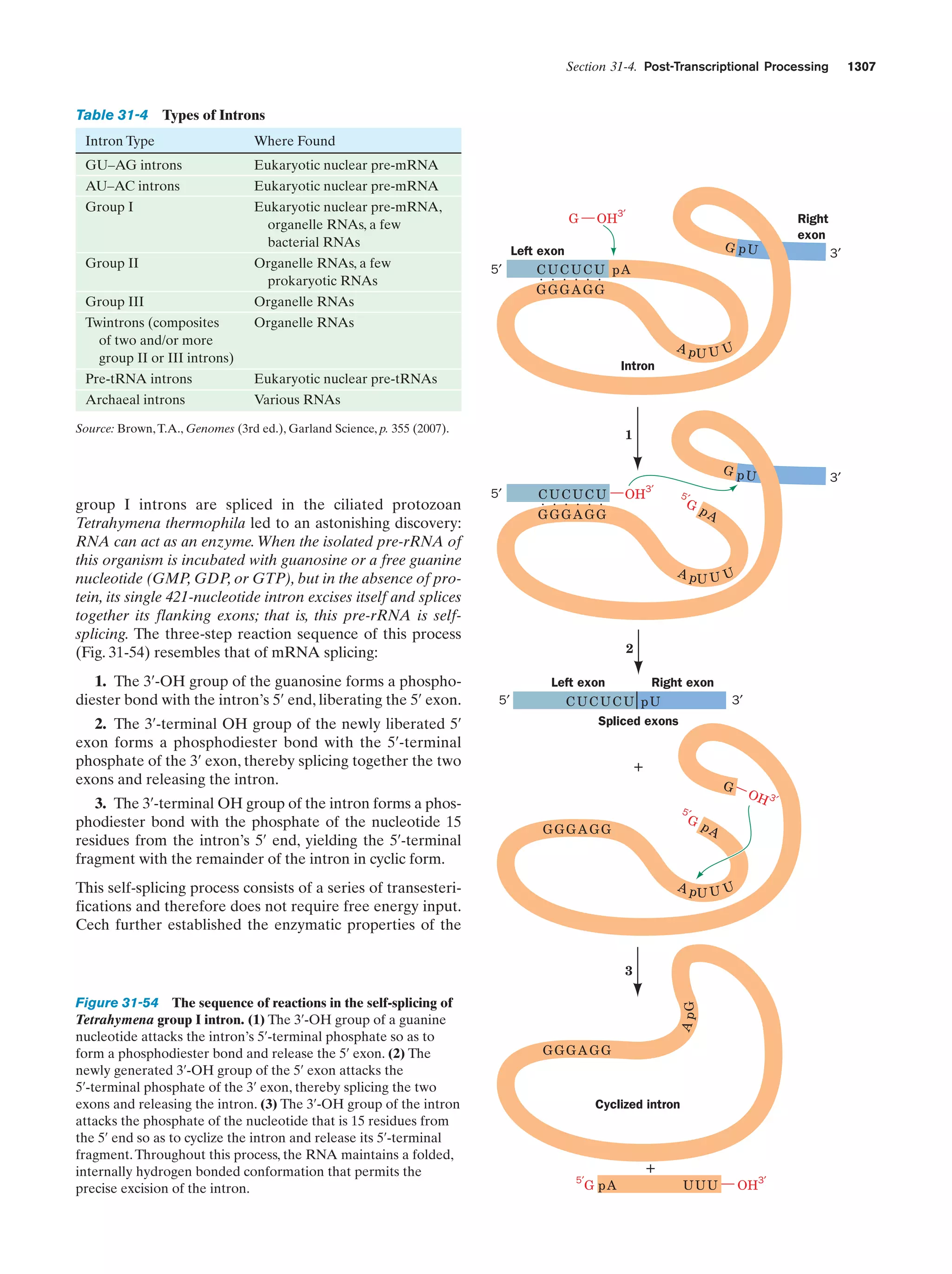 Biochemistry.4th.edition