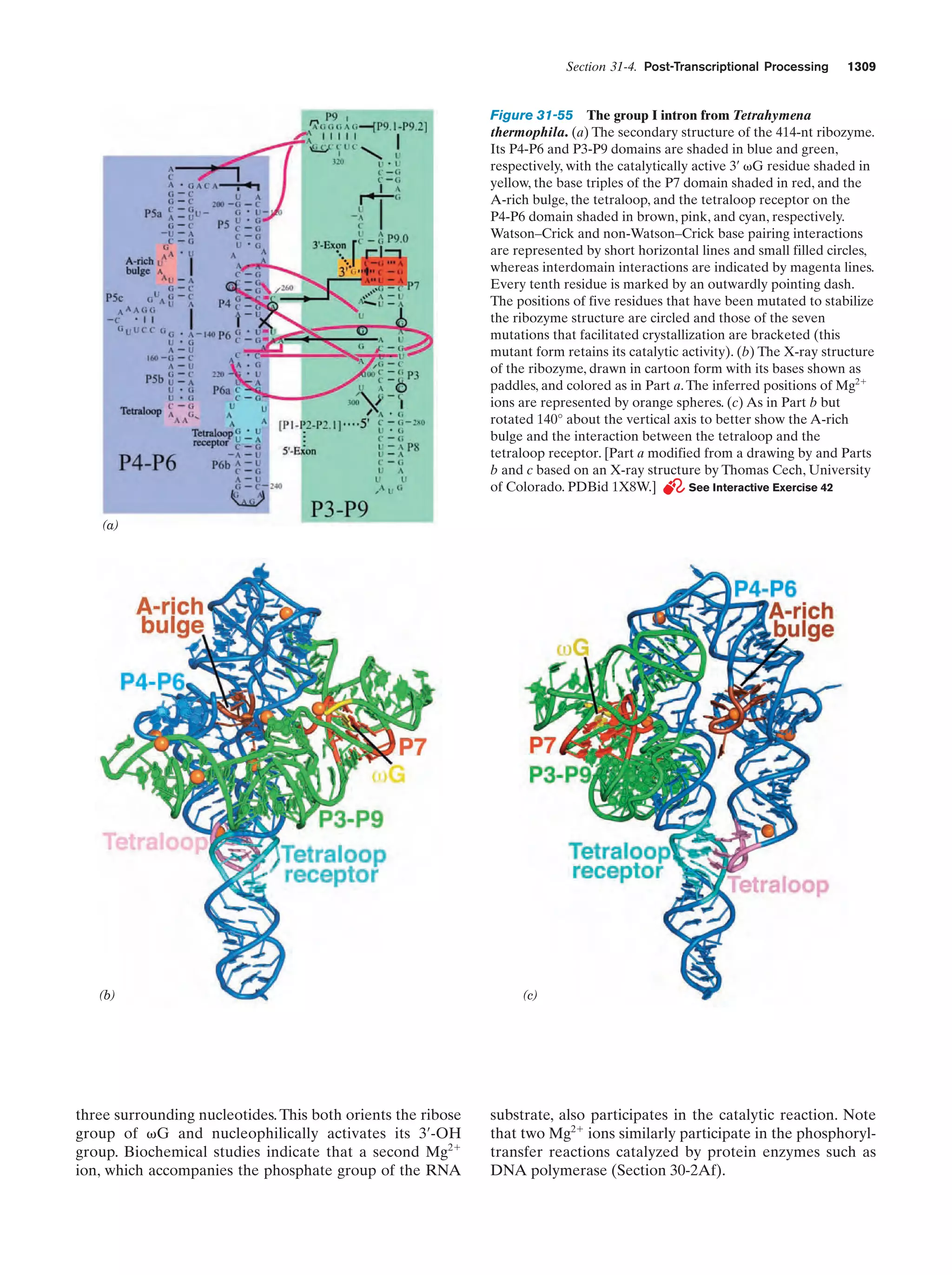 Biochemistry.4th.edition