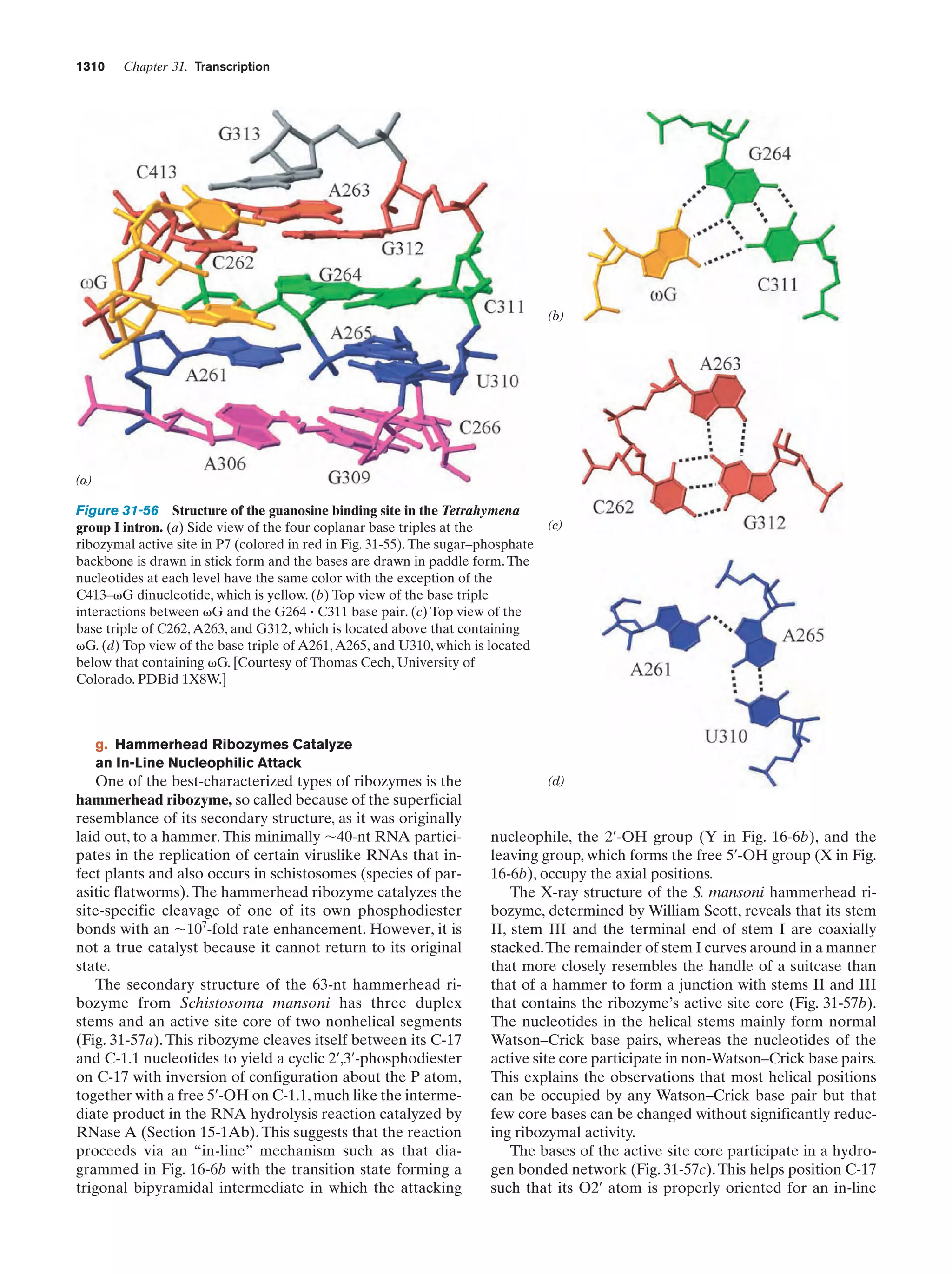 Biochemistry.4th.edition