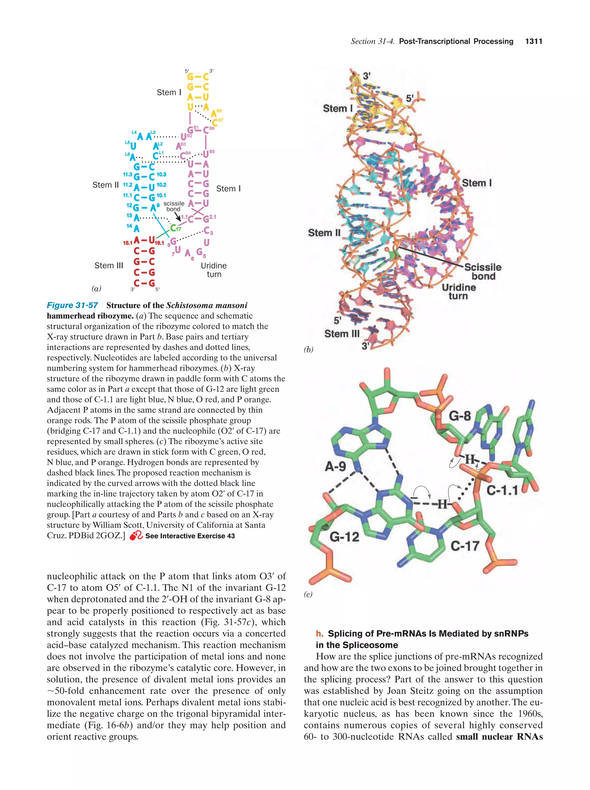 Biochemistry.4th.edition