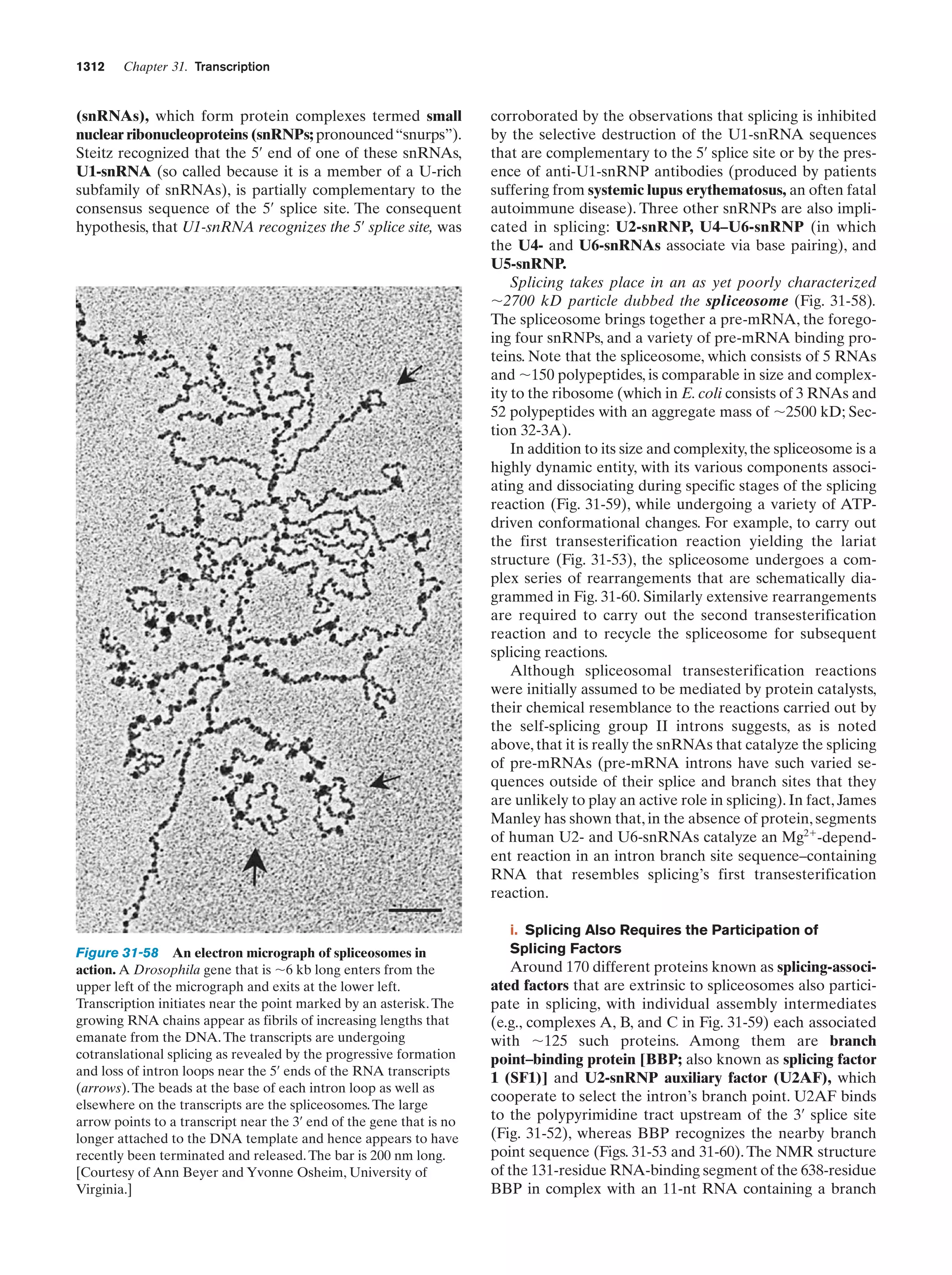 Biochemistry.4th.edition