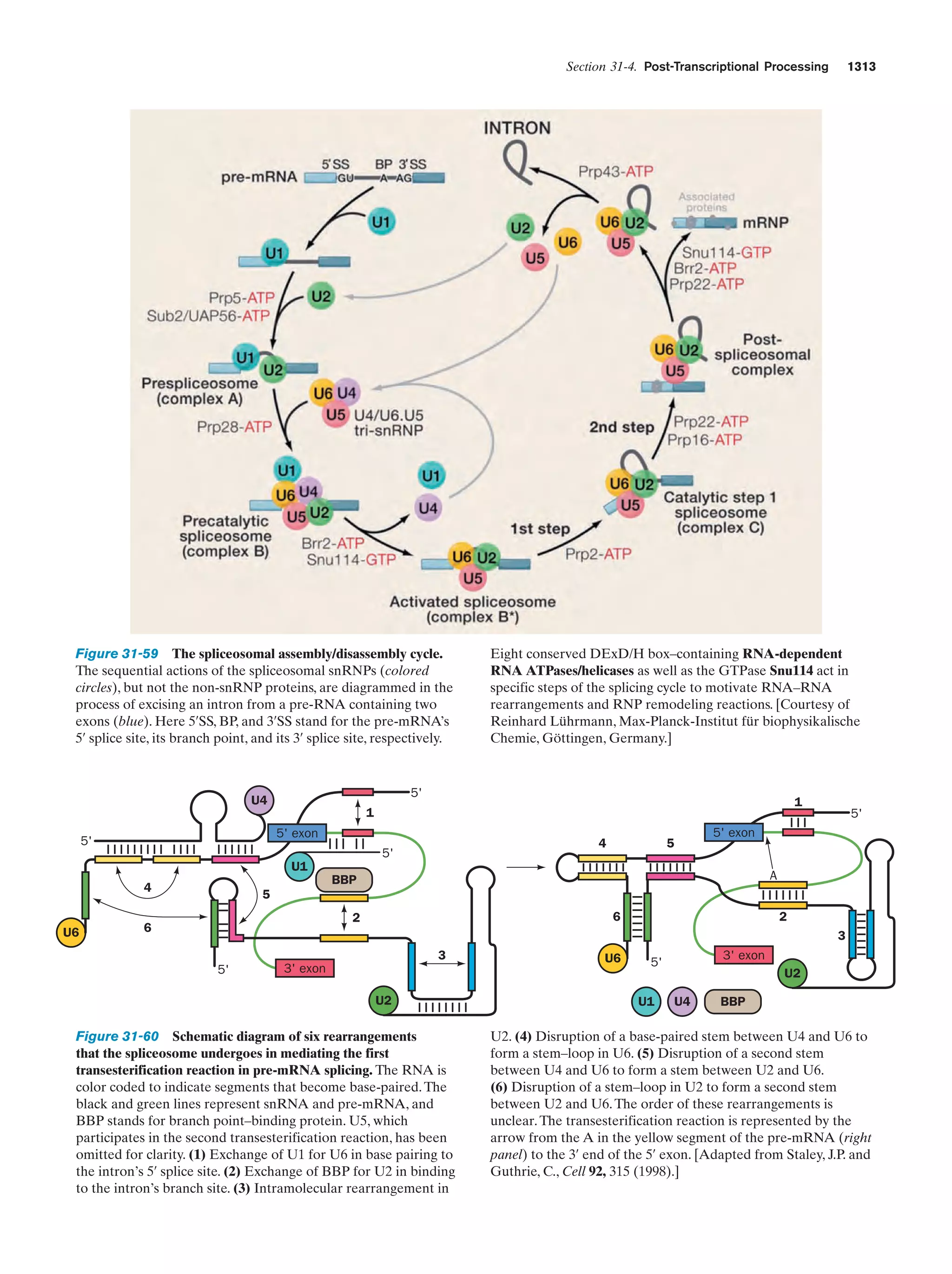 Biochemistry.4th.edition