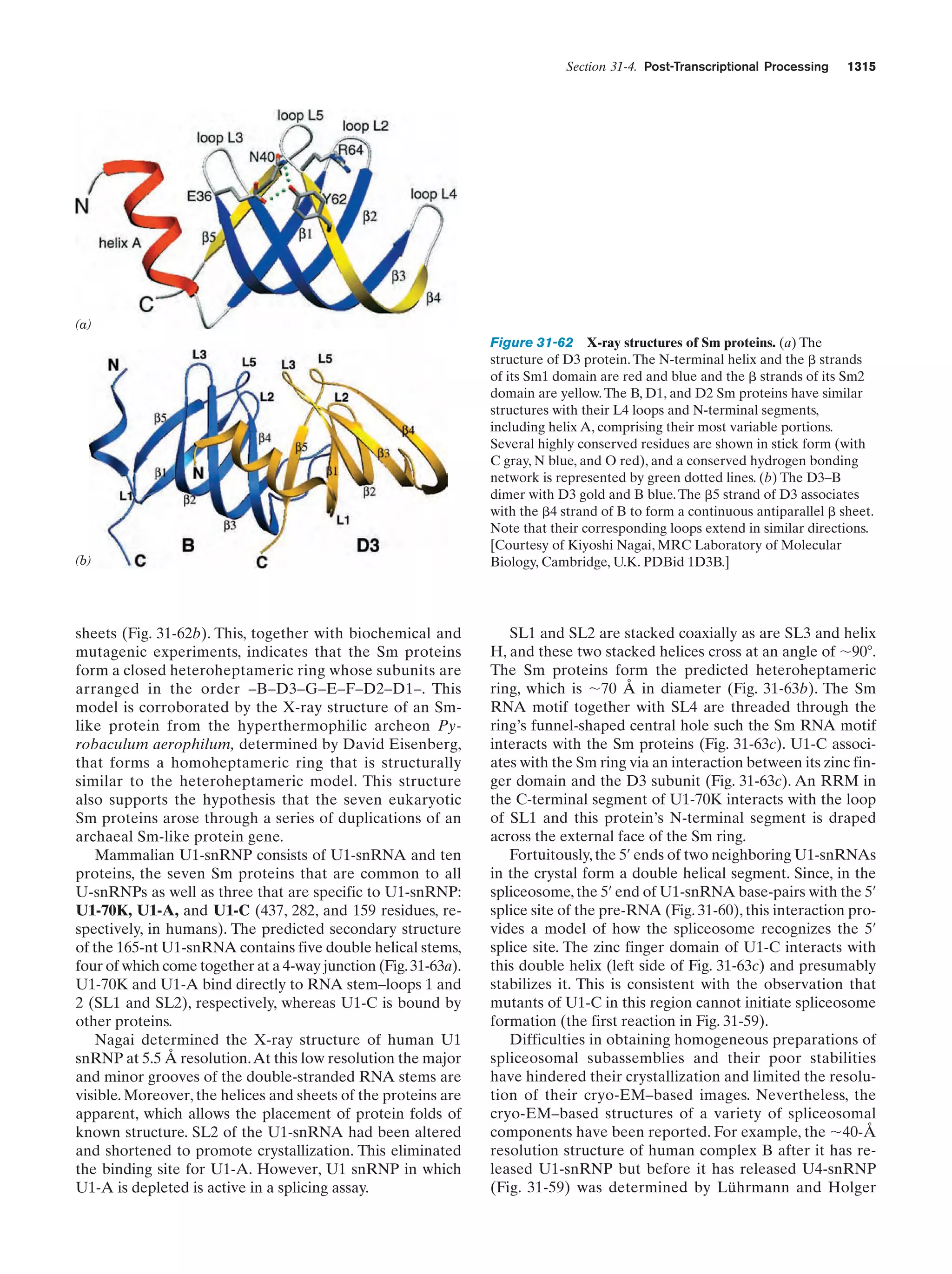 Biochemistry.4th.edition