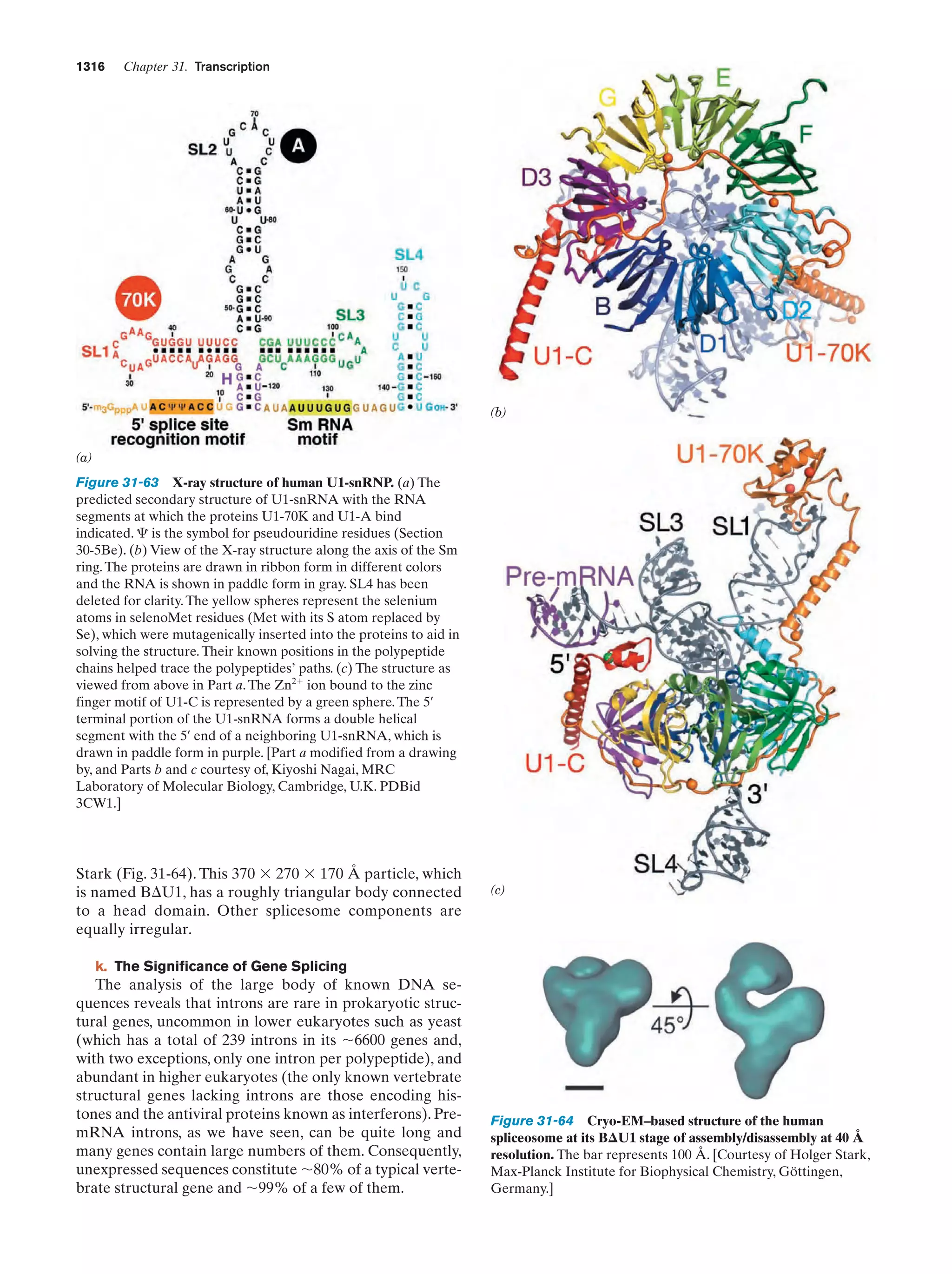 Biochemistry.4th.edition