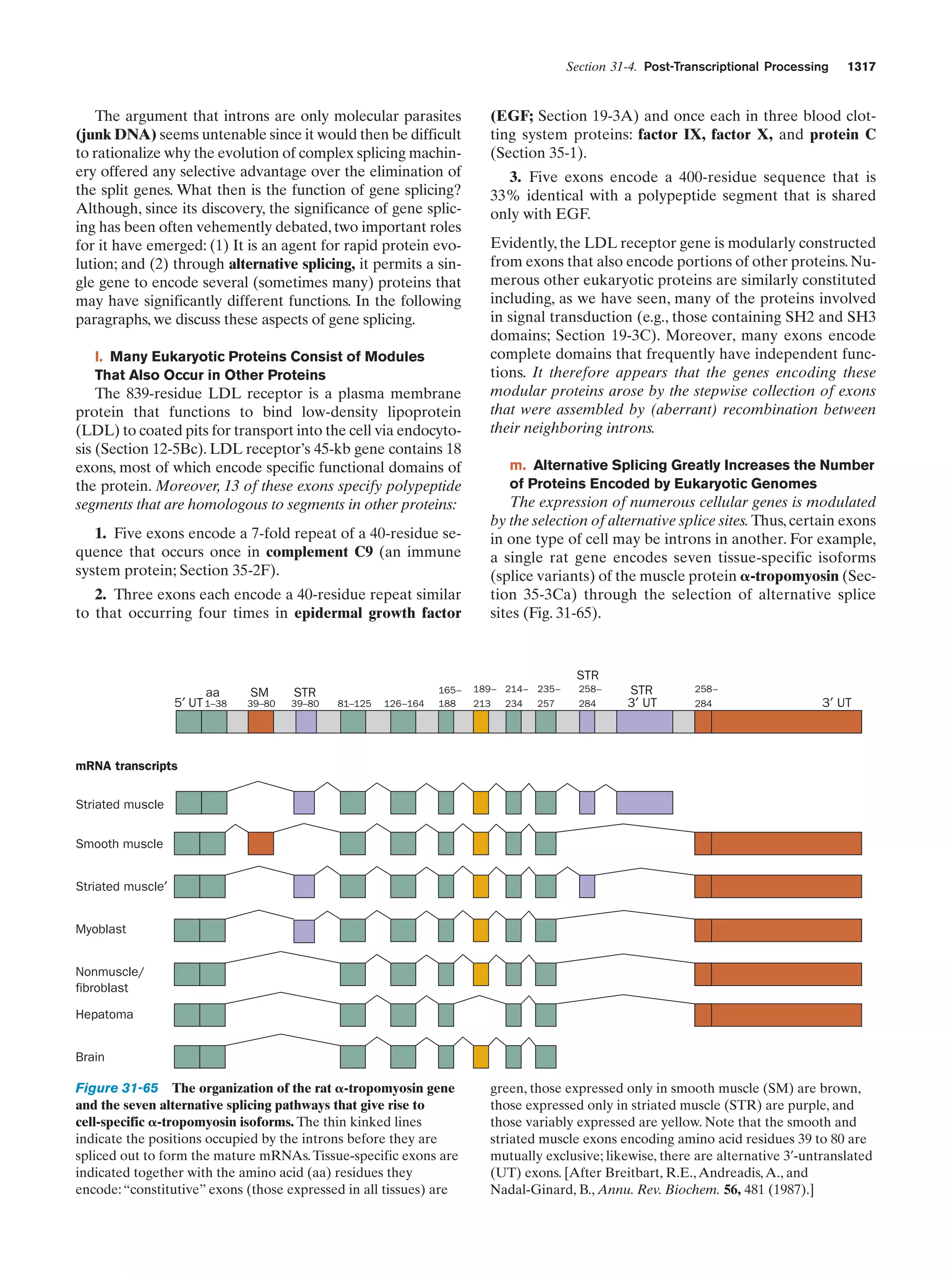 Biochemistry.4th.edition