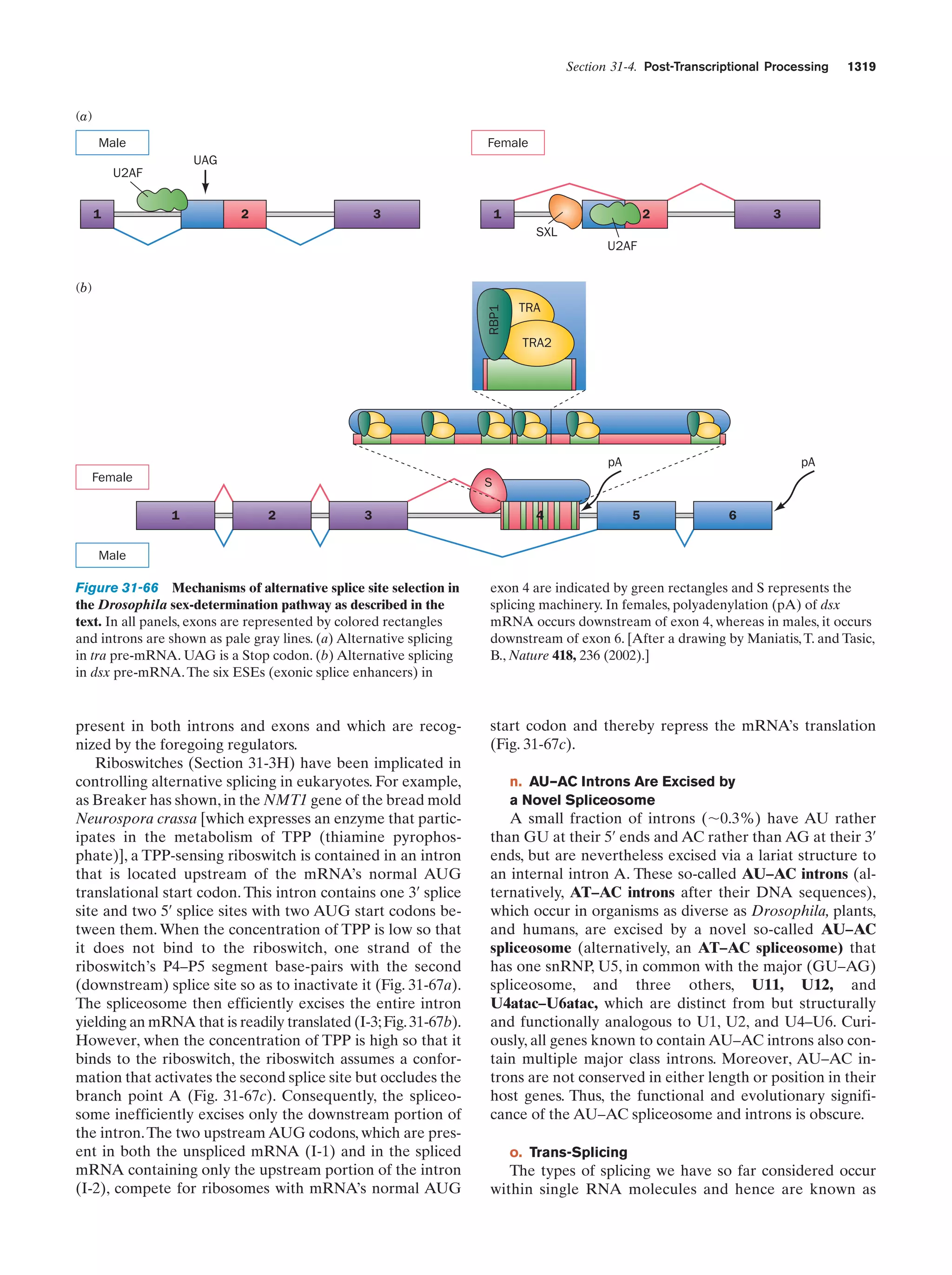 Biochemistry.4th.edition