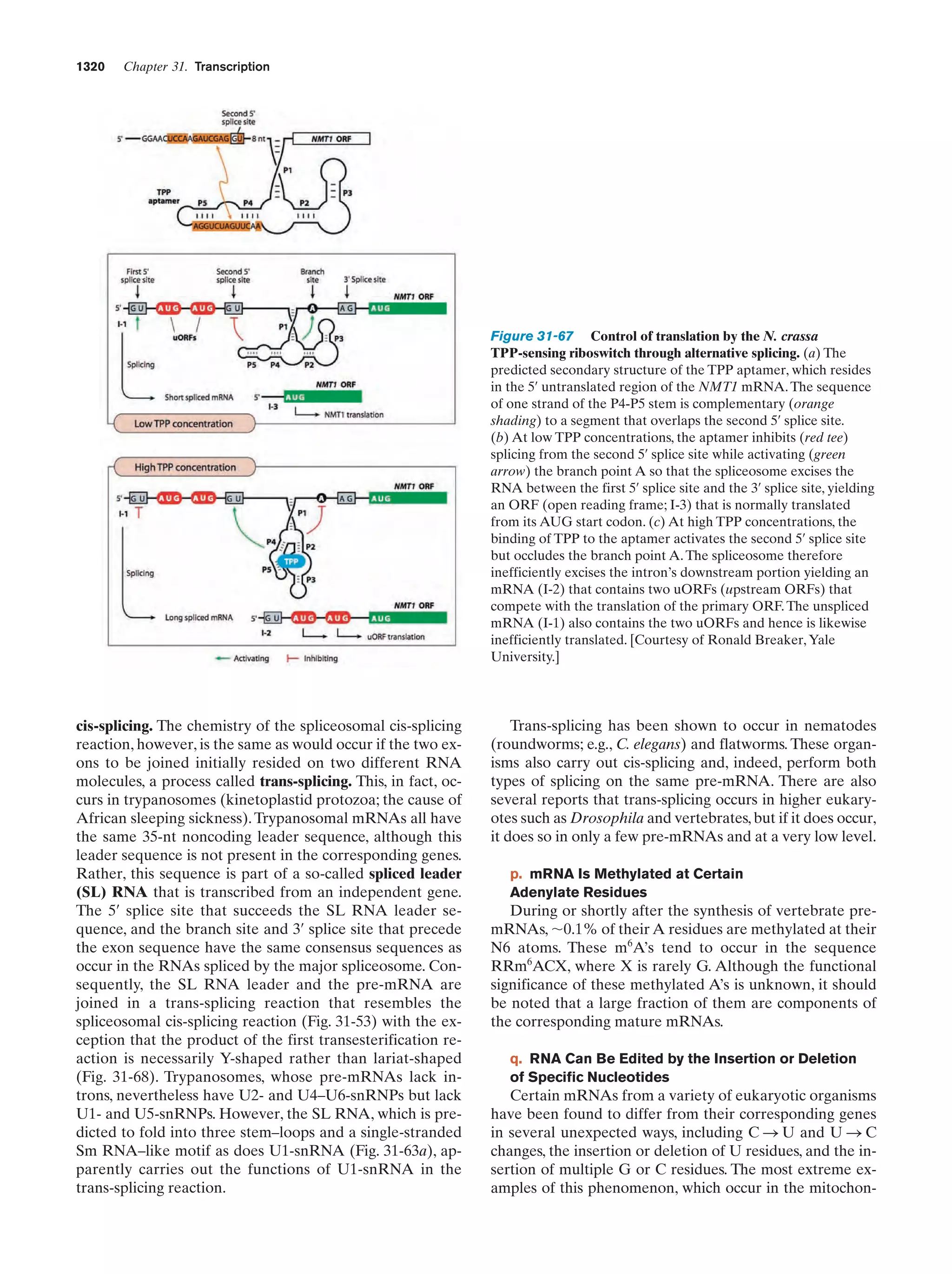 Biochemistry.4th.edition